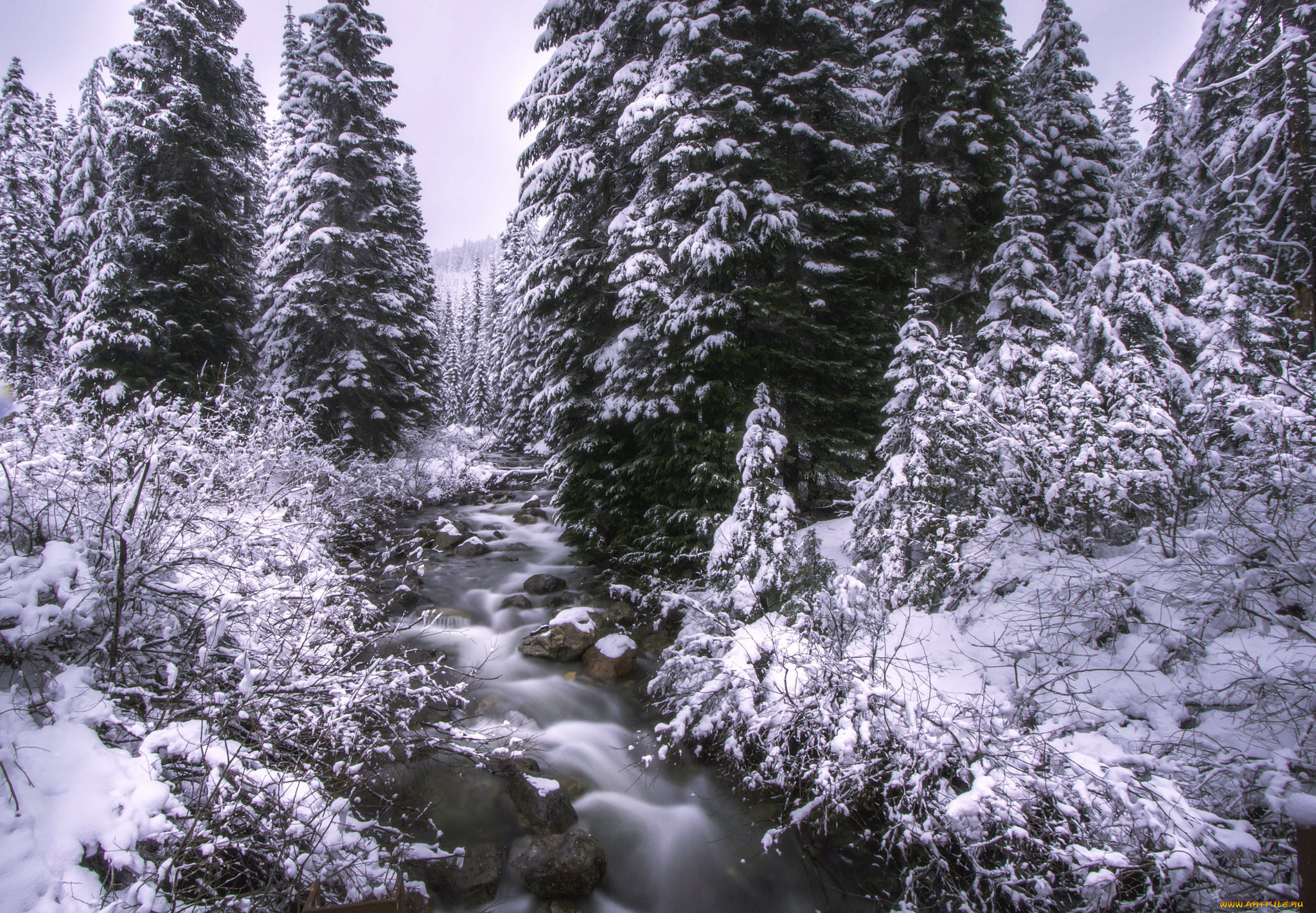 природа, зима, река, лес