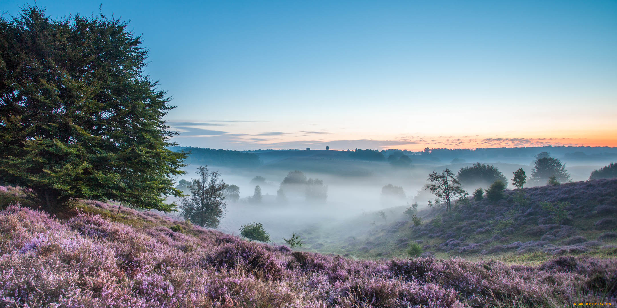 природа, пейзажи, туман