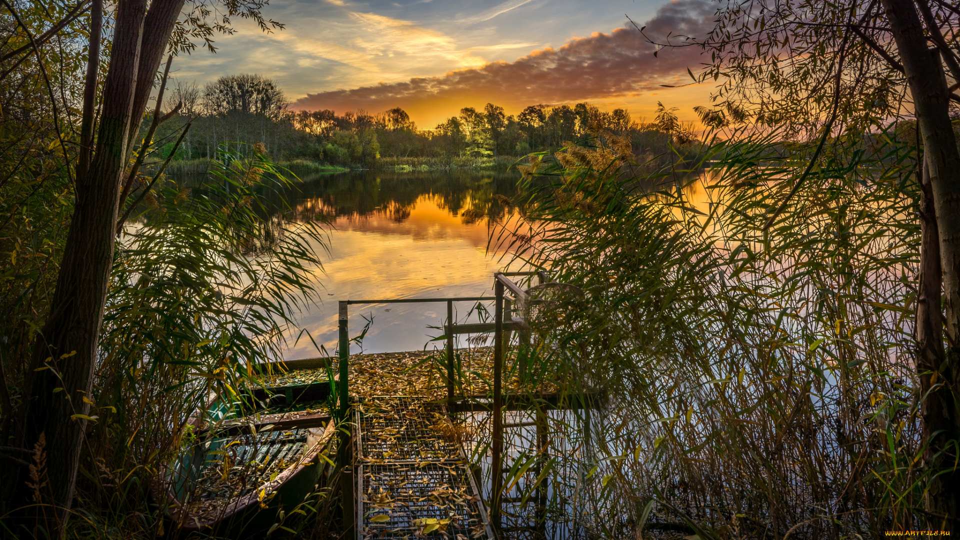 корабли, лодки, , шлюпки, лес, река