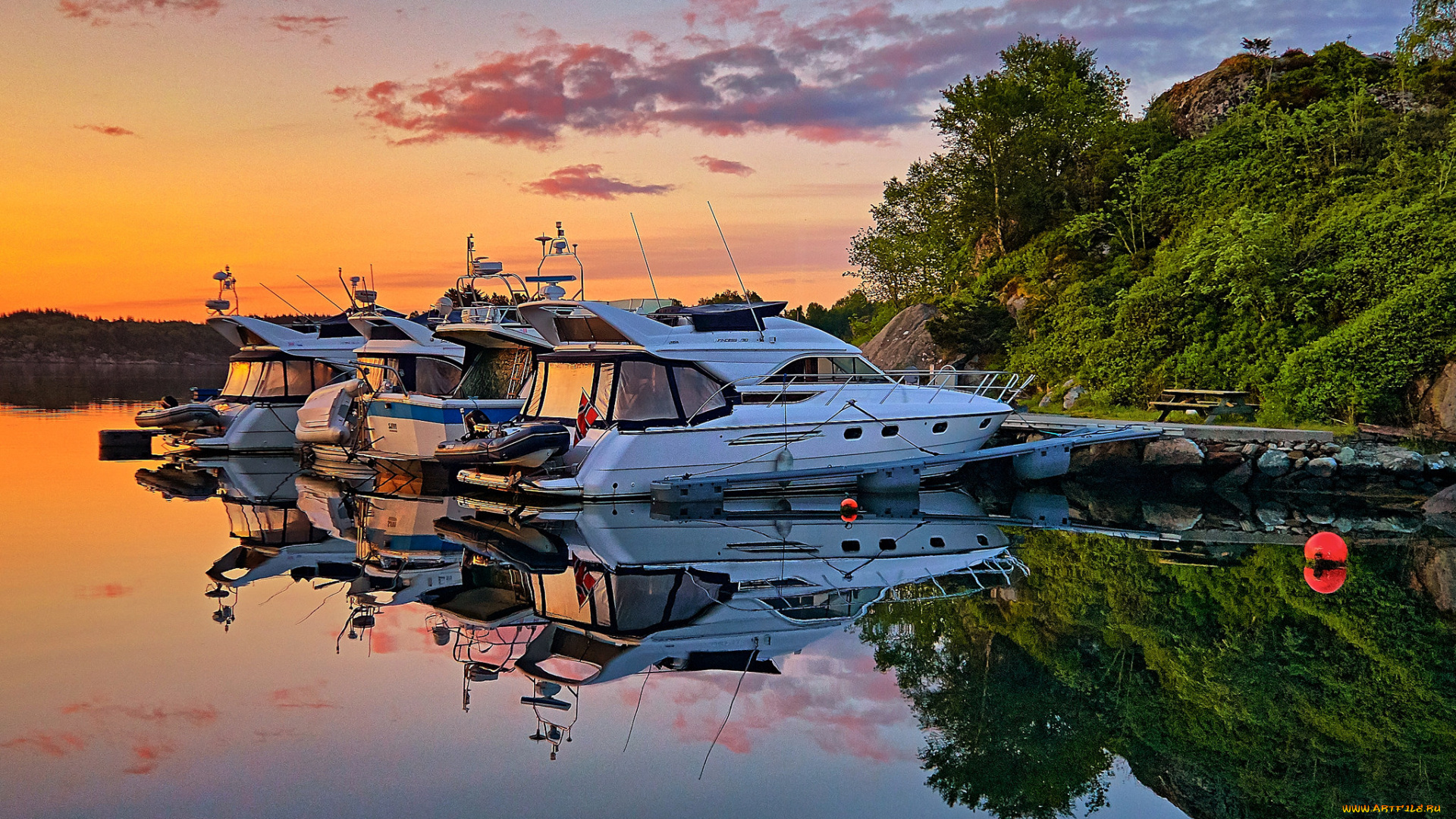 корабли, Яхты, река, лес