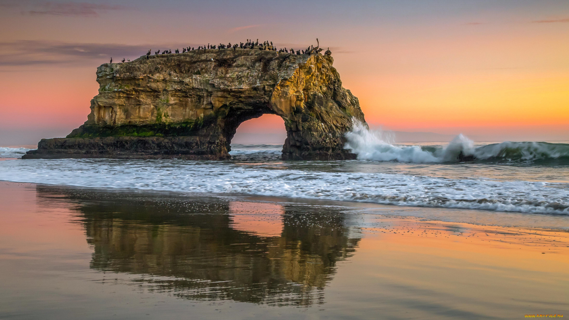 природа, побережье, море, берег