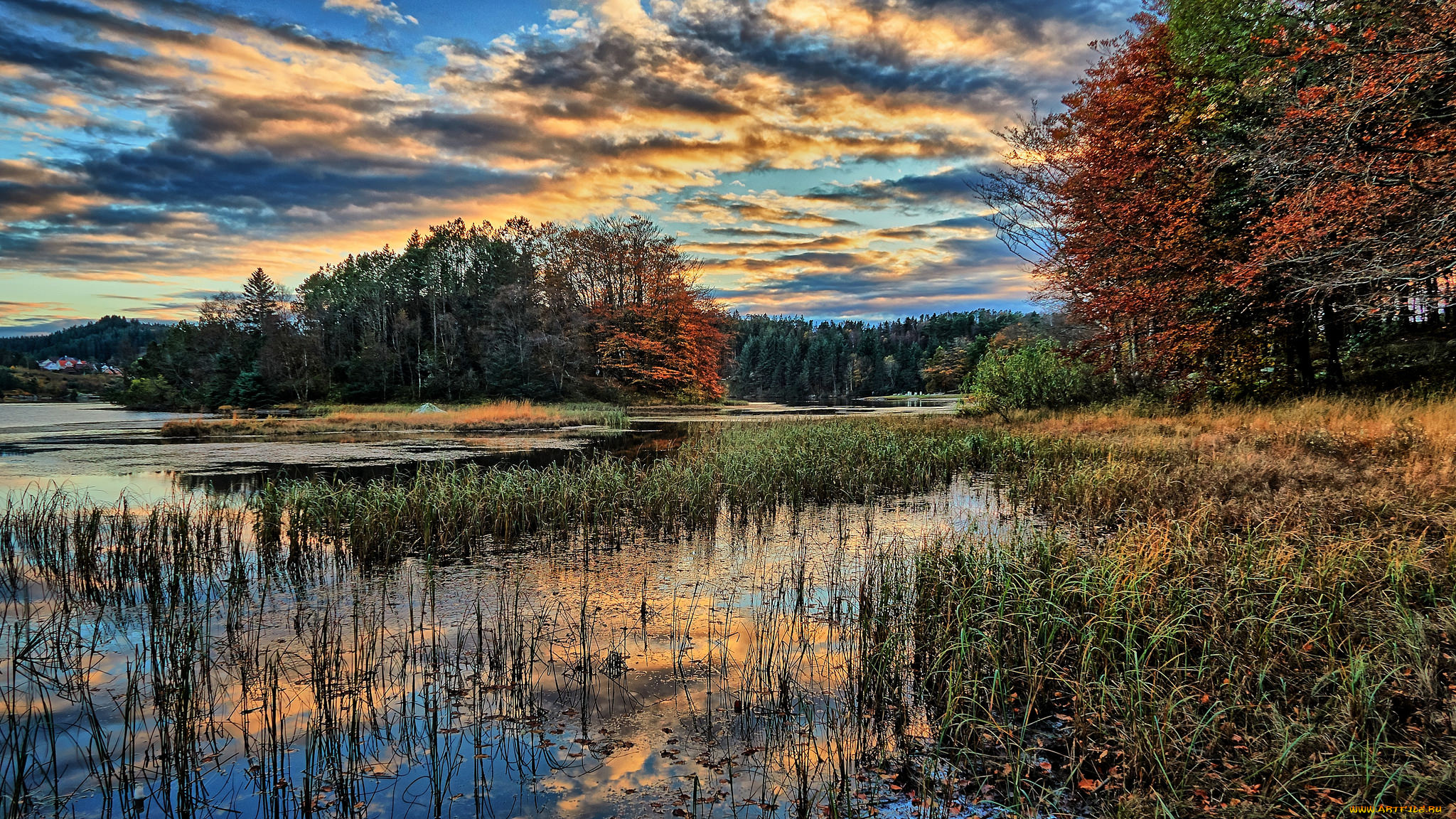 природа, реки, озера, река, лес