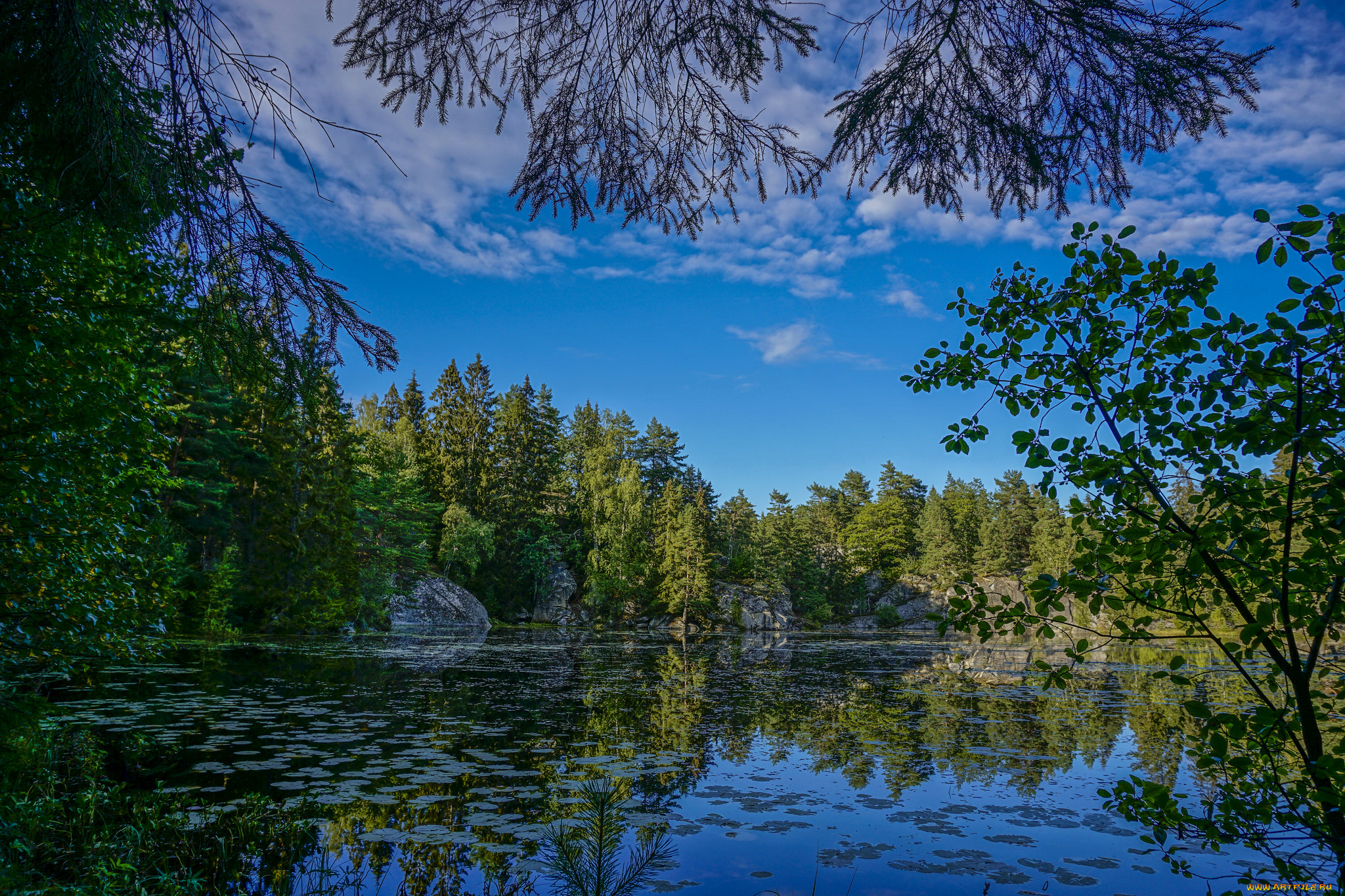 природа, реки, озера, река, лес