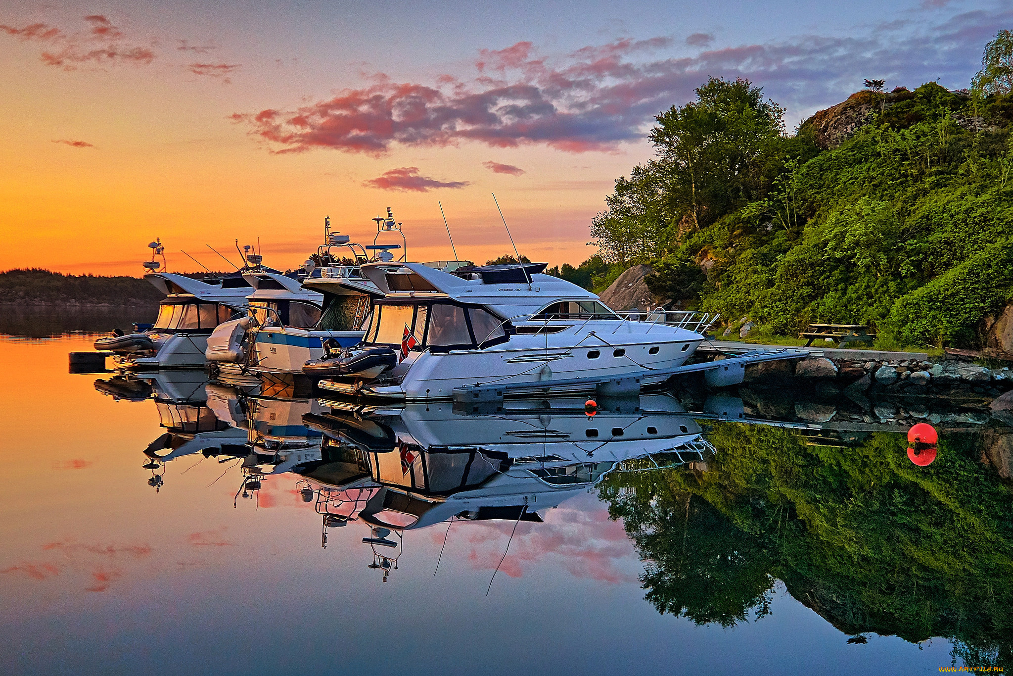 корабли, Яхты, река, лес