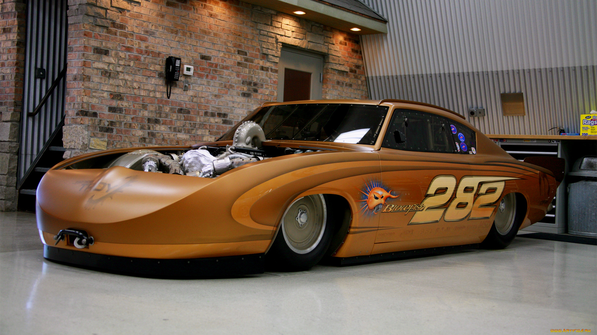 автомобили, hotrod, dragster