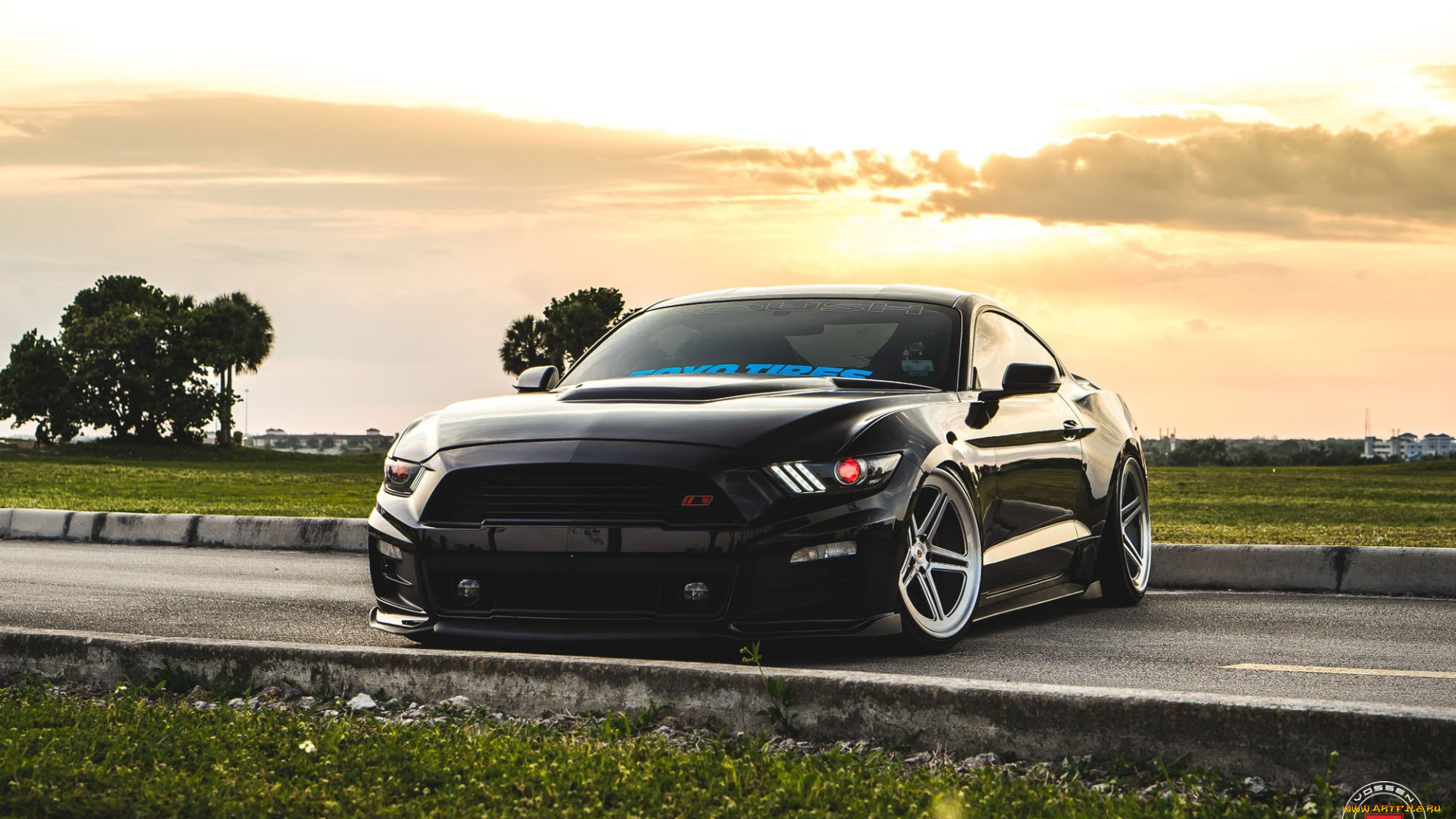 автомобили, mustang