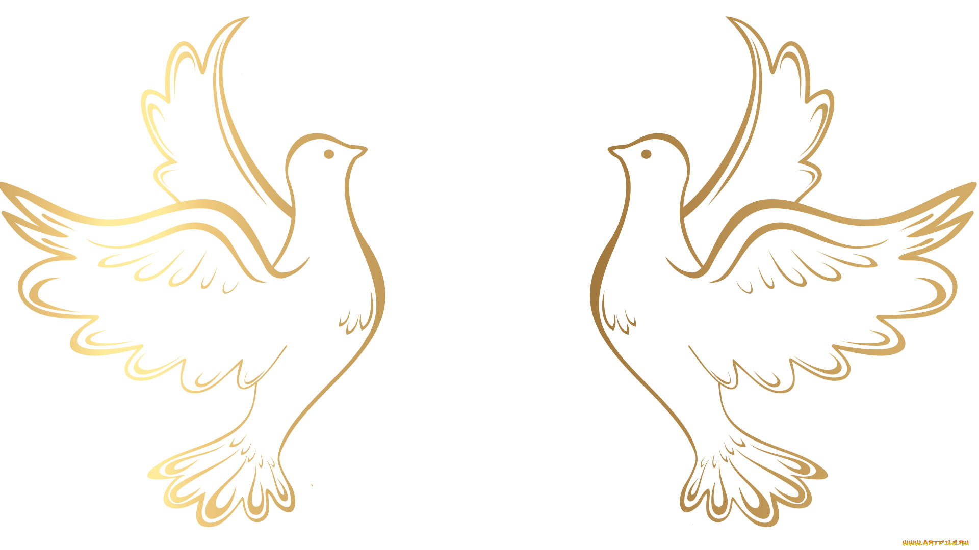 векторная, графика, животные, , animals, голуби