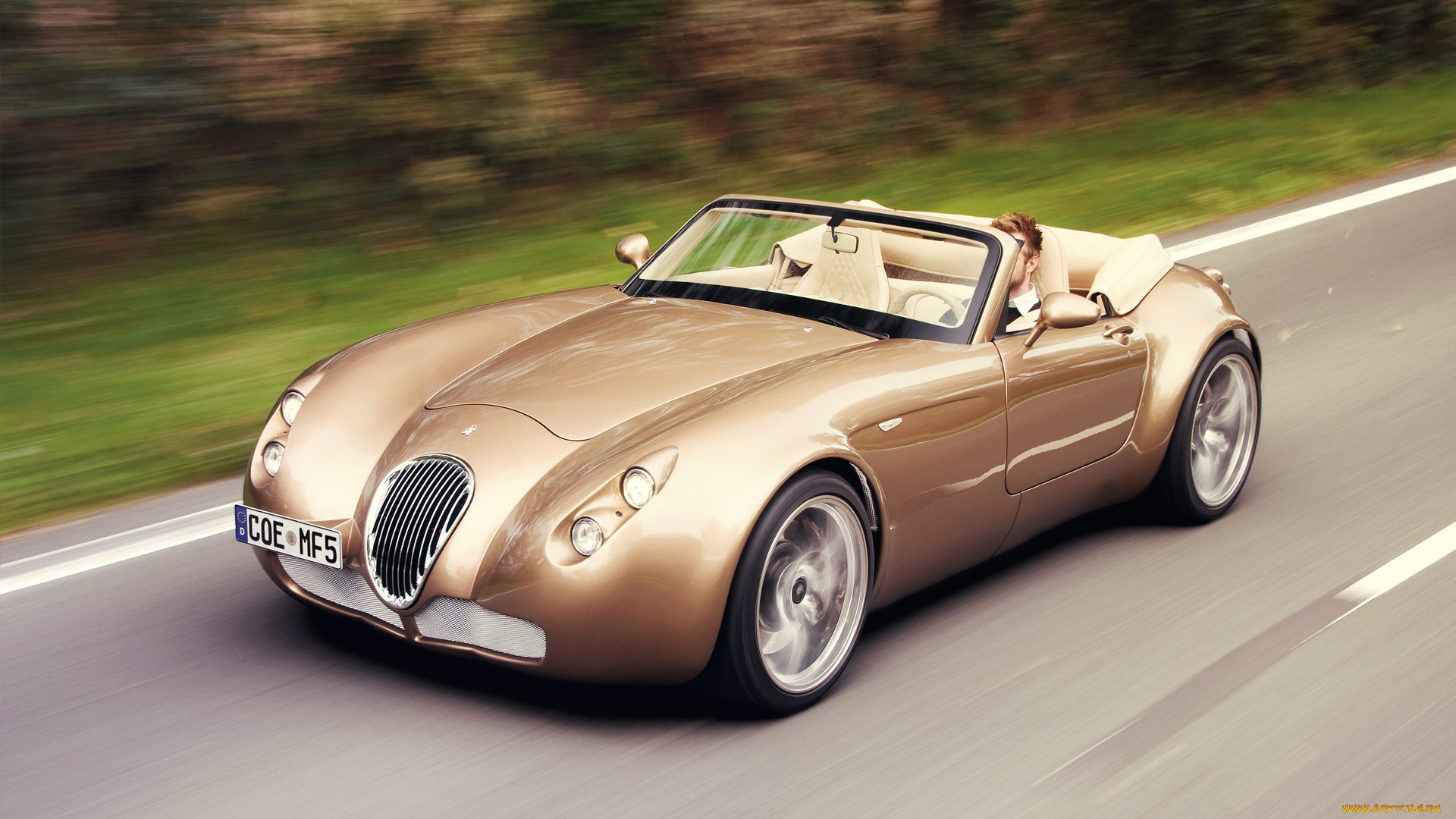 wiesmann, mf5, roadster, 2012, автомобили, wiesmann, 2012, roadster, mf5