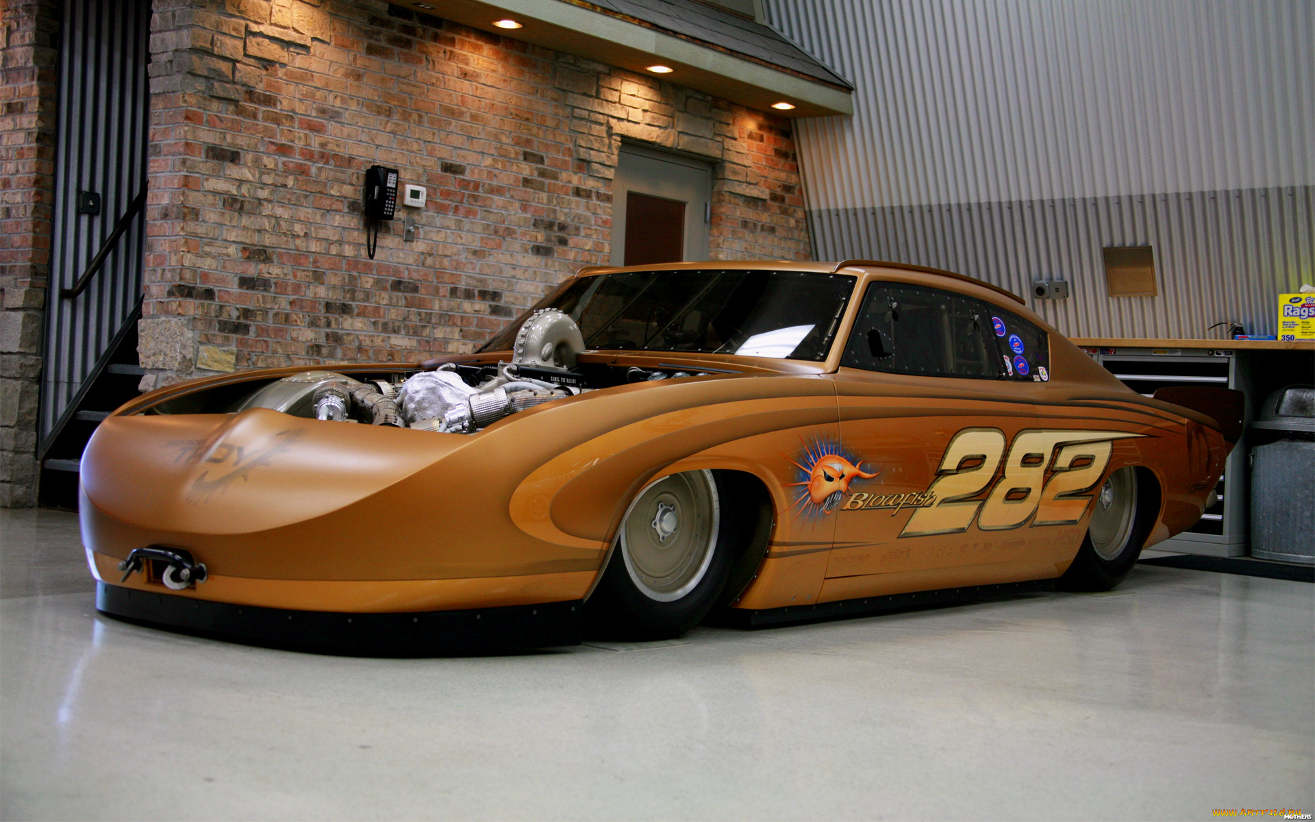 автомобили, hotrod, dragster