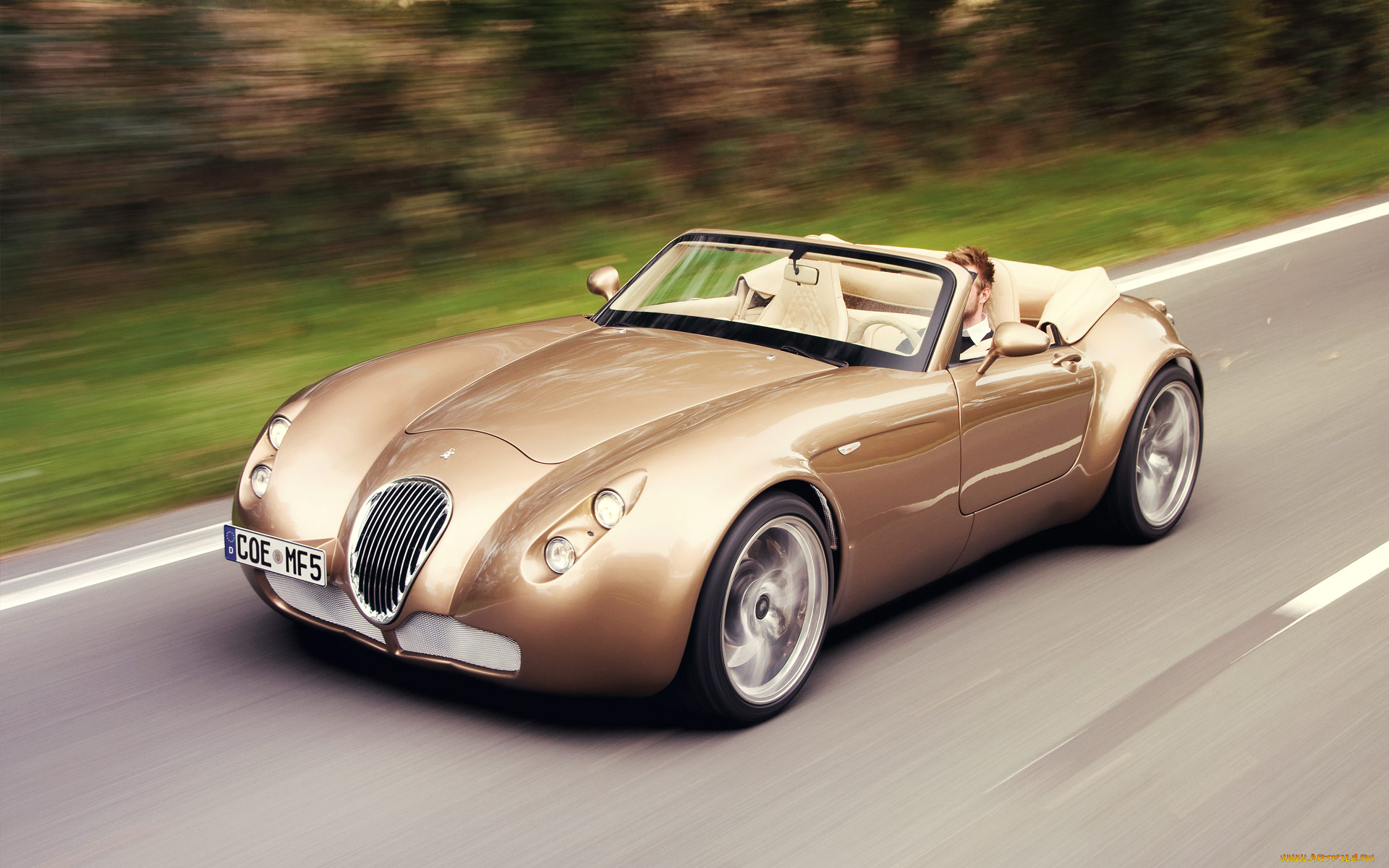 wiesmann, mf5, roadster, 2012, автомобили, wiesmann, 2012, roadster, mf5
