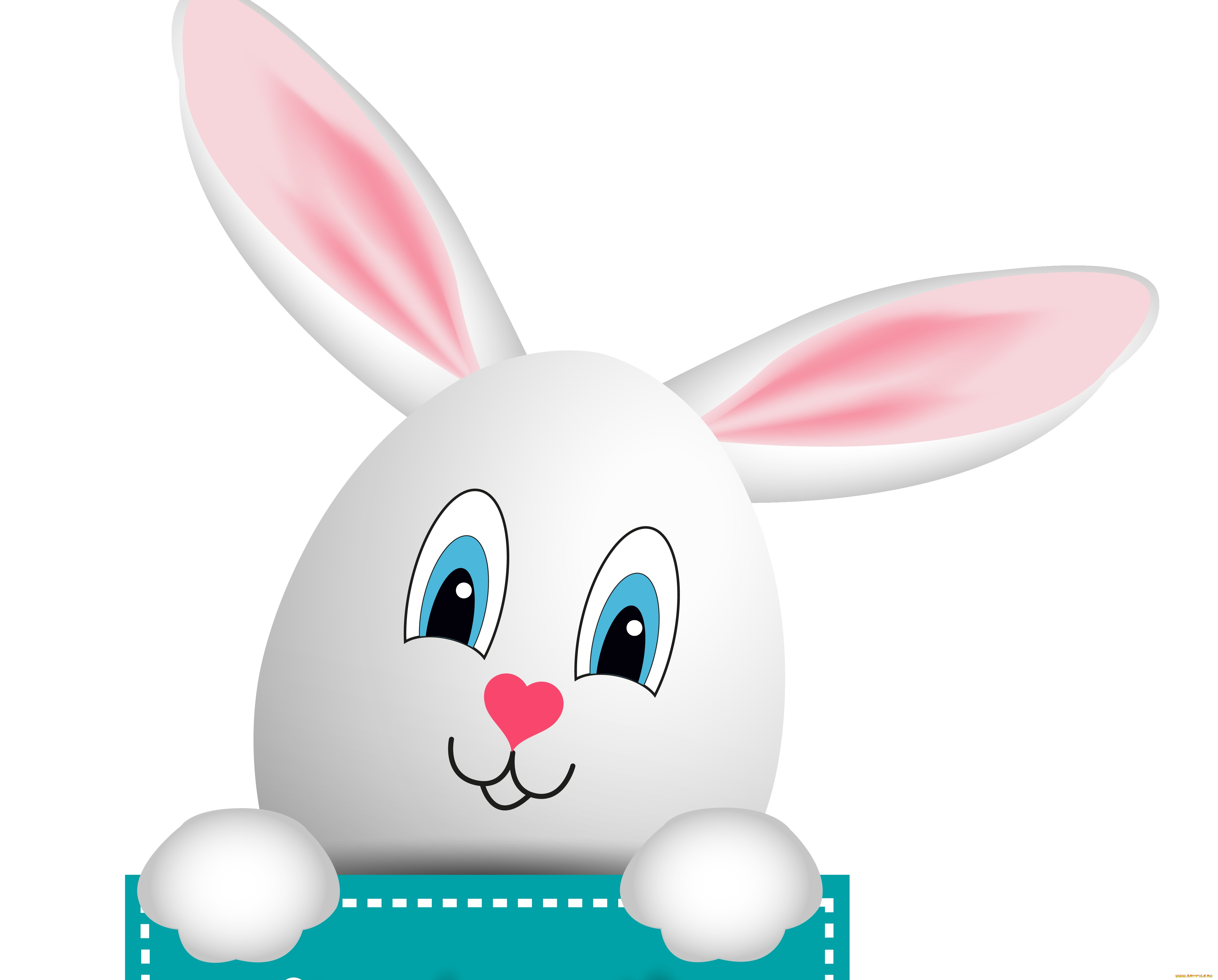 векторная, графика, животные, , animals, кролик