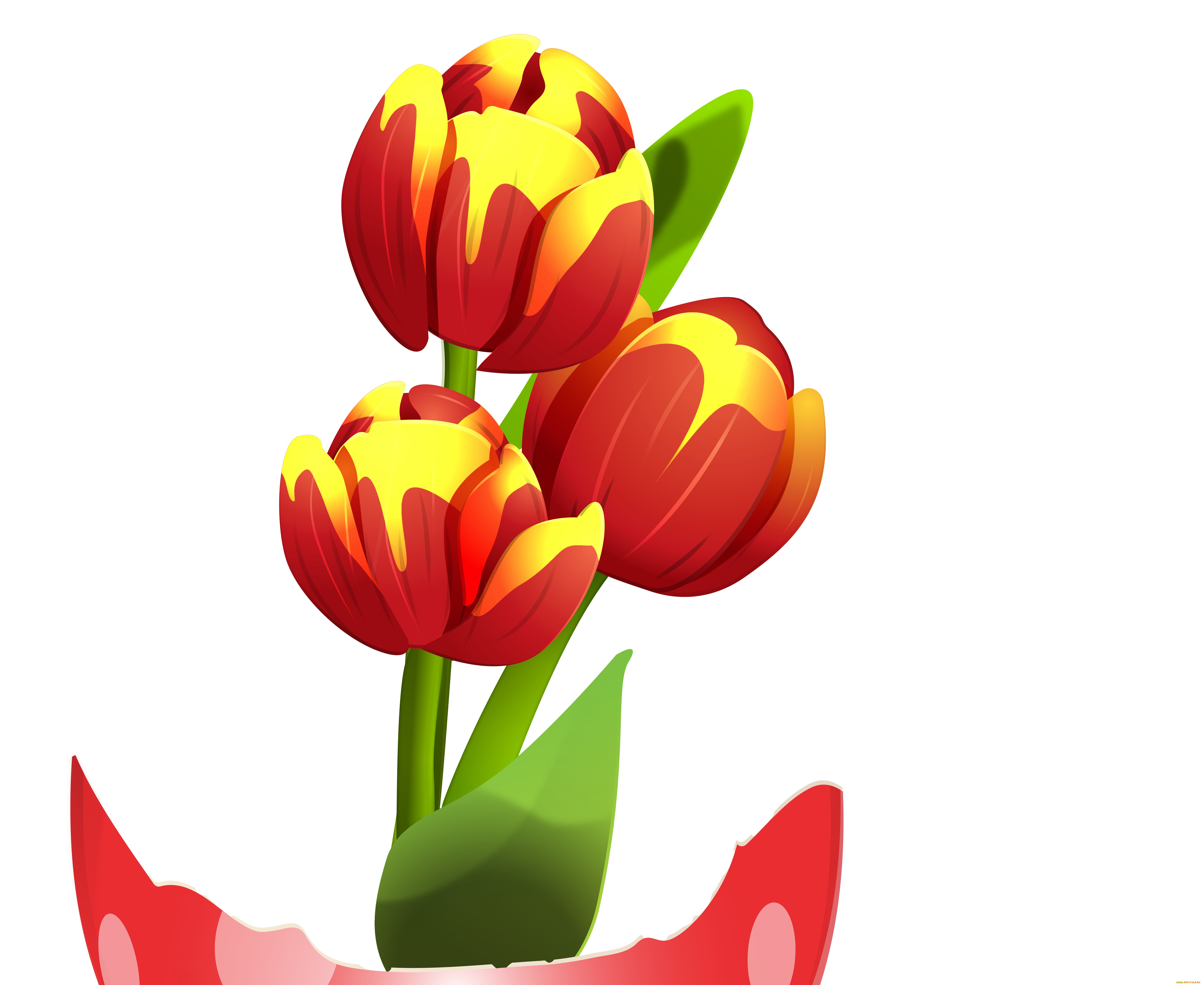 векторная, графика, цветы, , flowers, цветы, фон