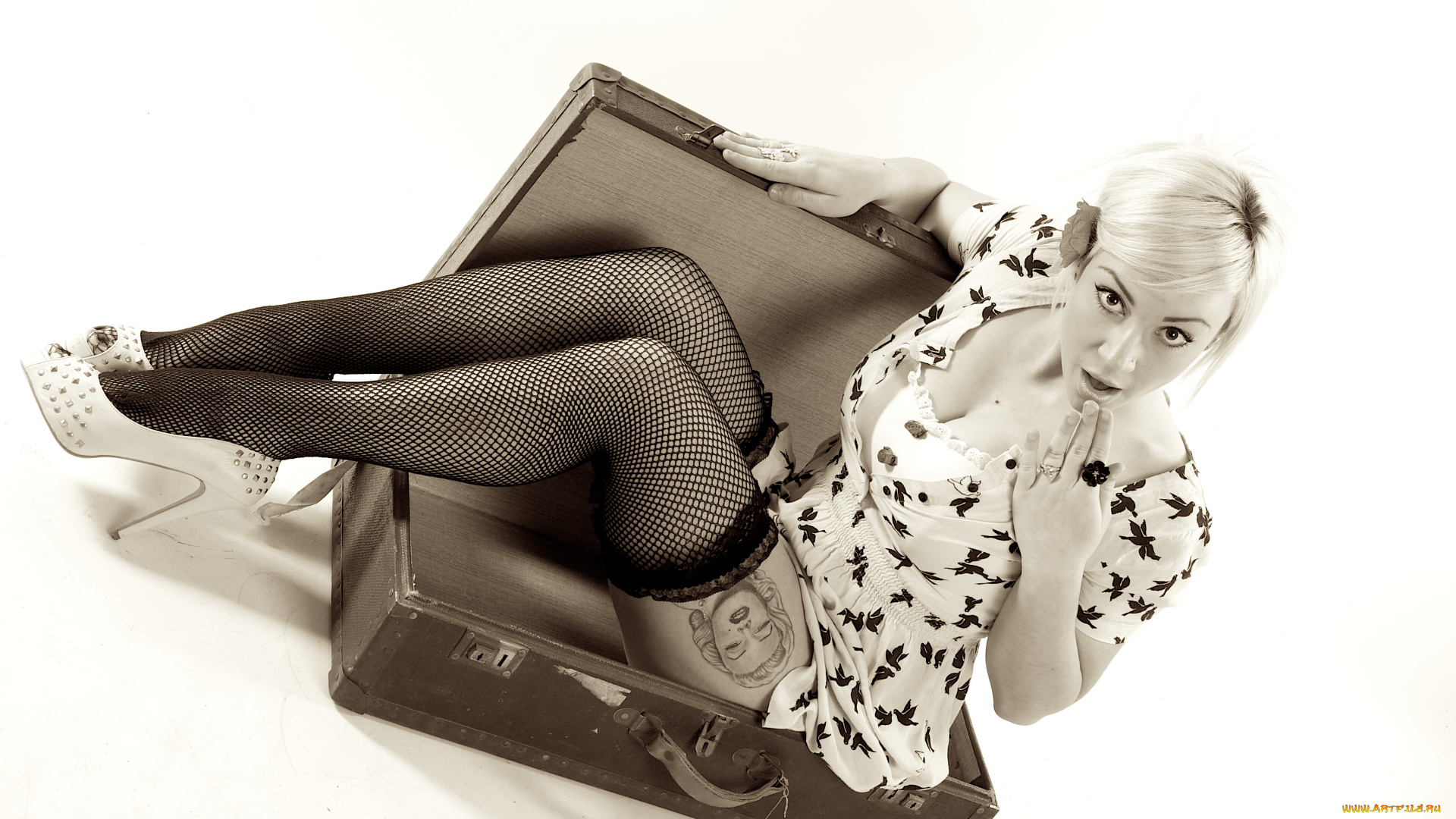 девушки, -unsort, , Черно-белые, обои, тату, чулки, чемодан, взгляд, фон, девушка