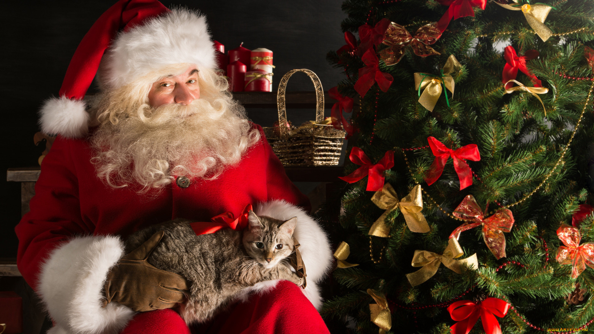 праздничные, дед, мороз, , санта, клаус, санта