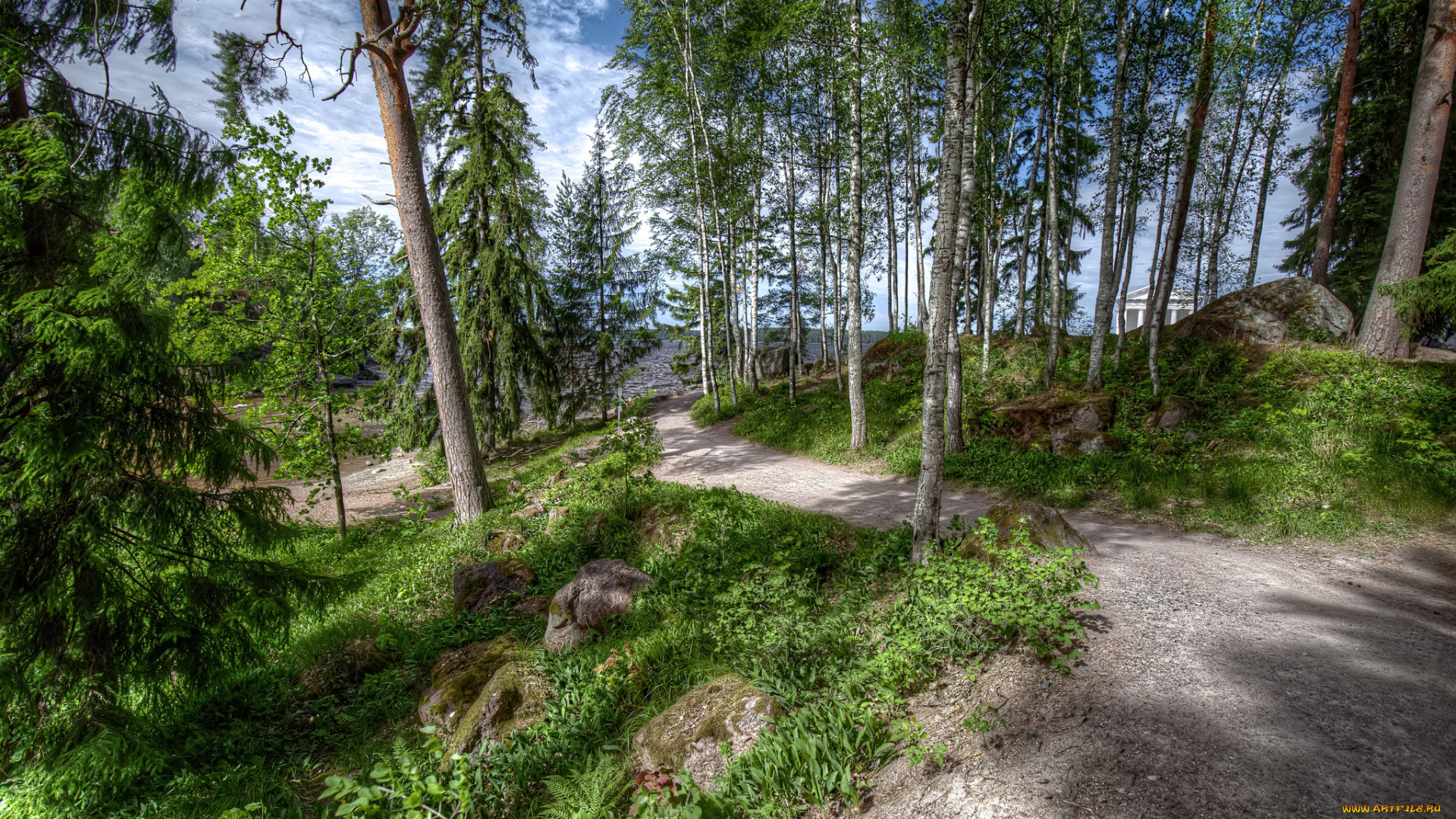 природа, лес, простор