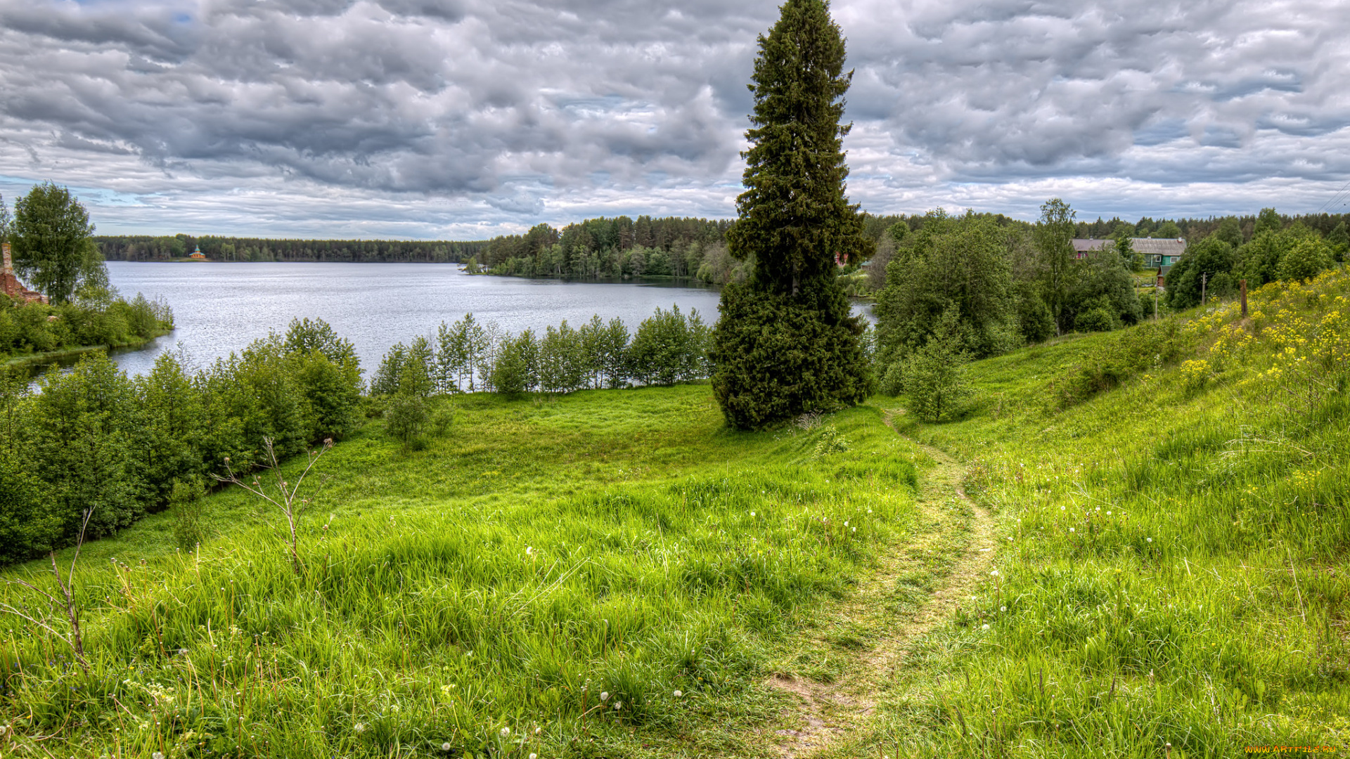 природа, реки, озера, простор