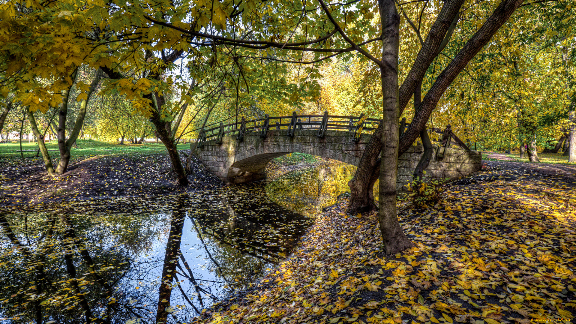 природа, реки, озера, простор