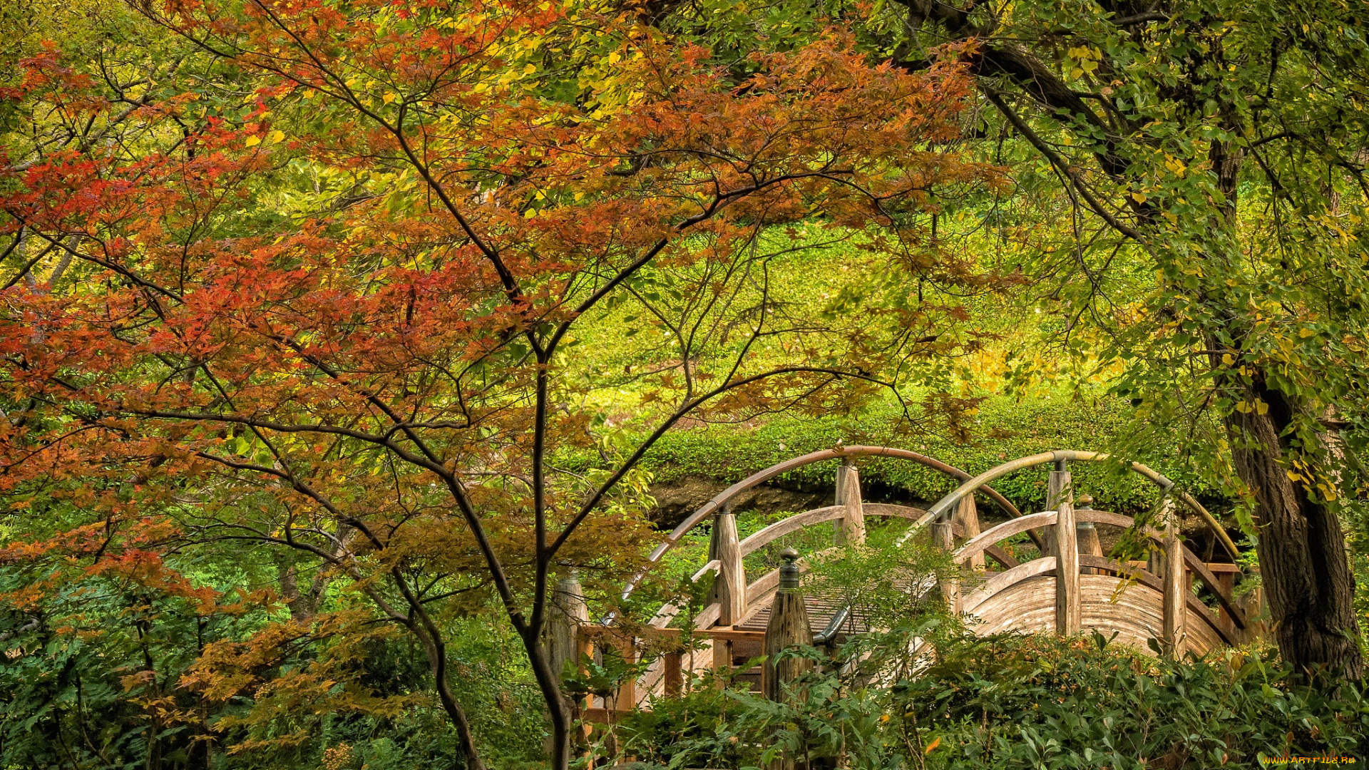 природа, реки, озера, простор