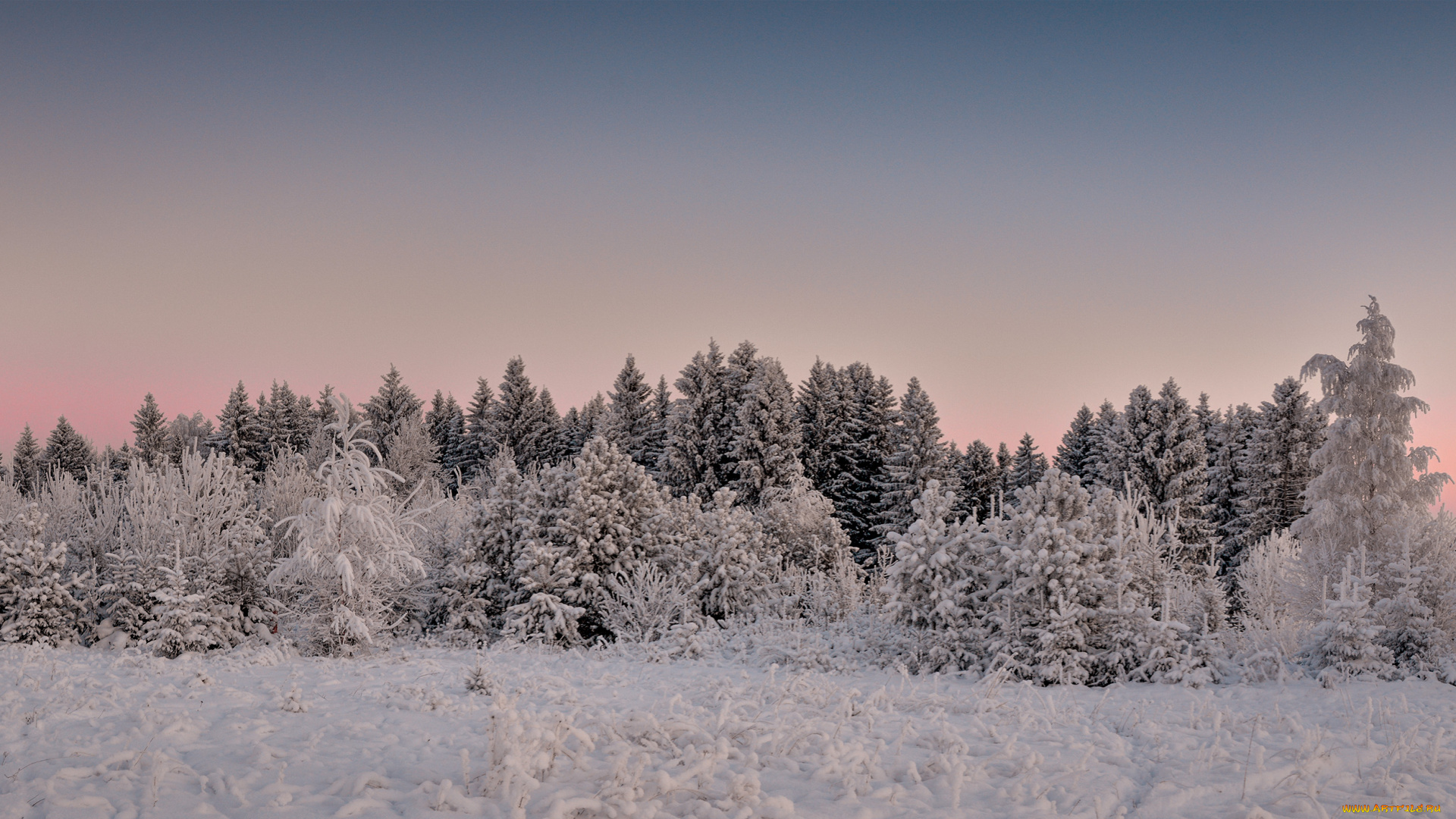 природа, зима, деревья, снег