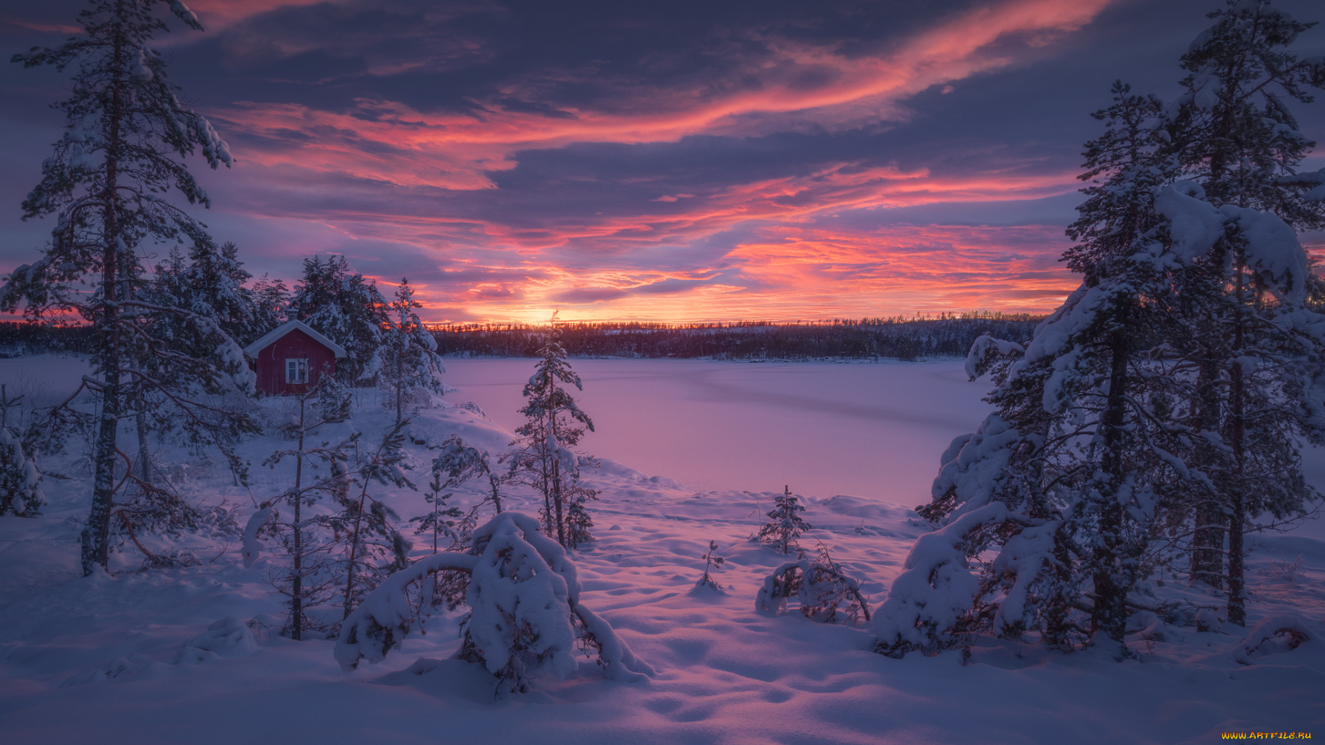 природа, зима, снег, лес