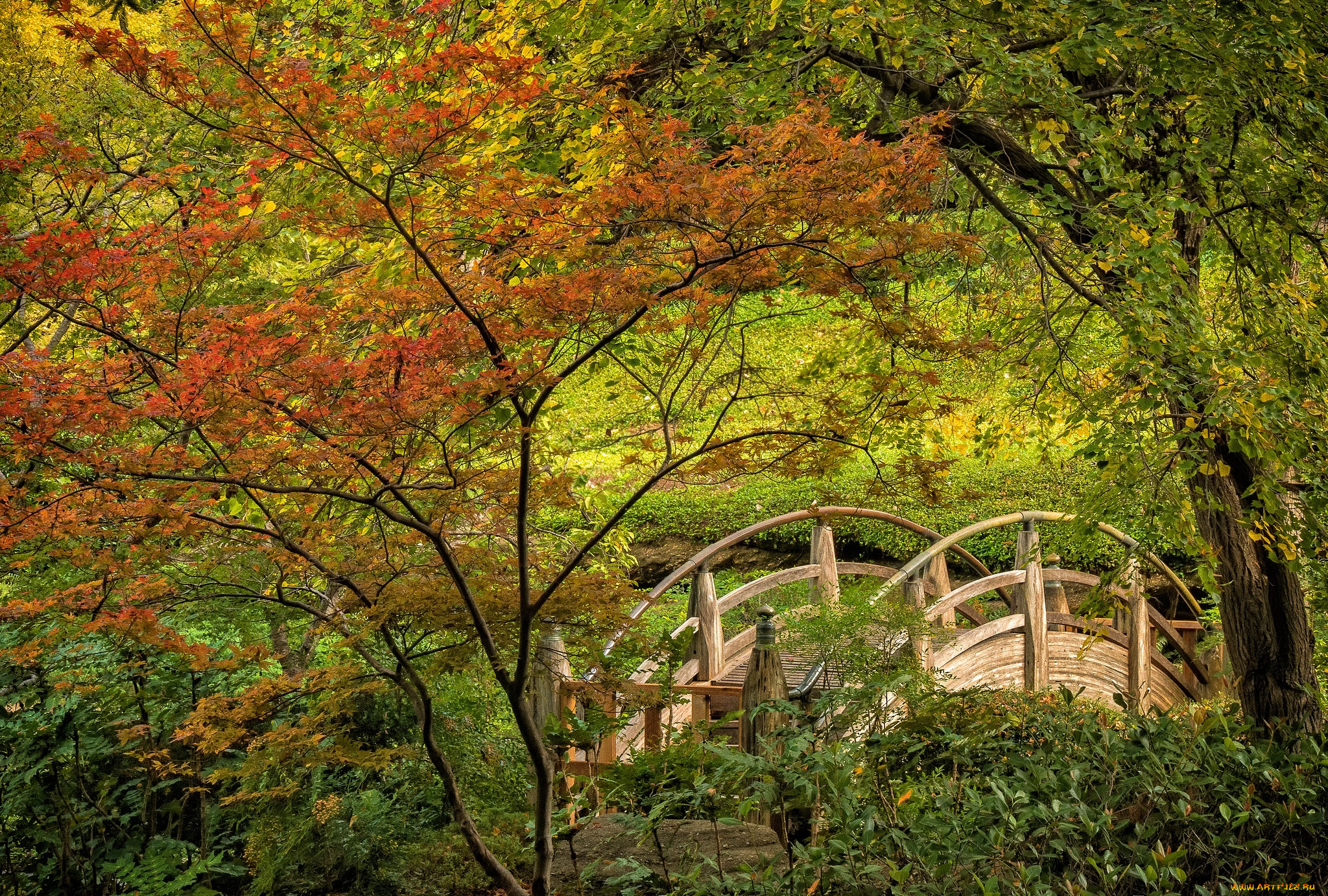 природа, реки, озера, простор