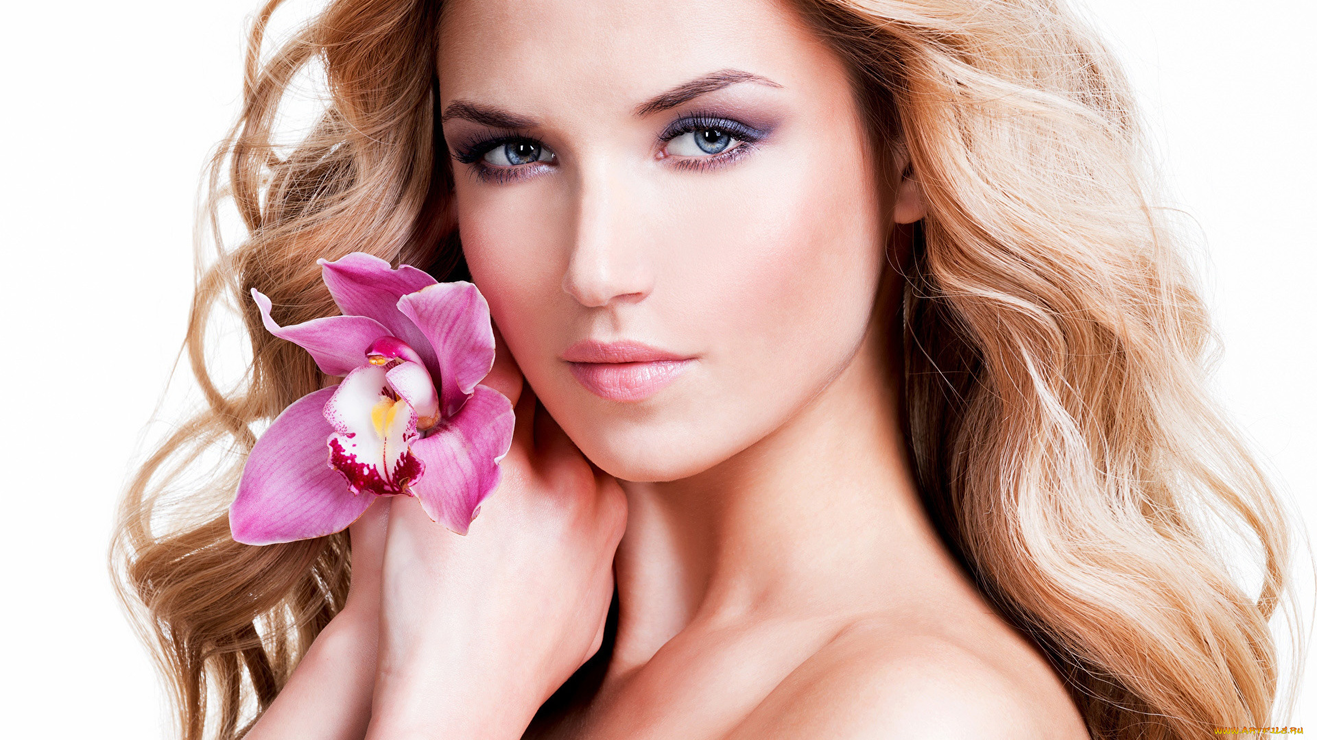 девушки, -, лица, , портреты, блондинка, портрет, орхидея