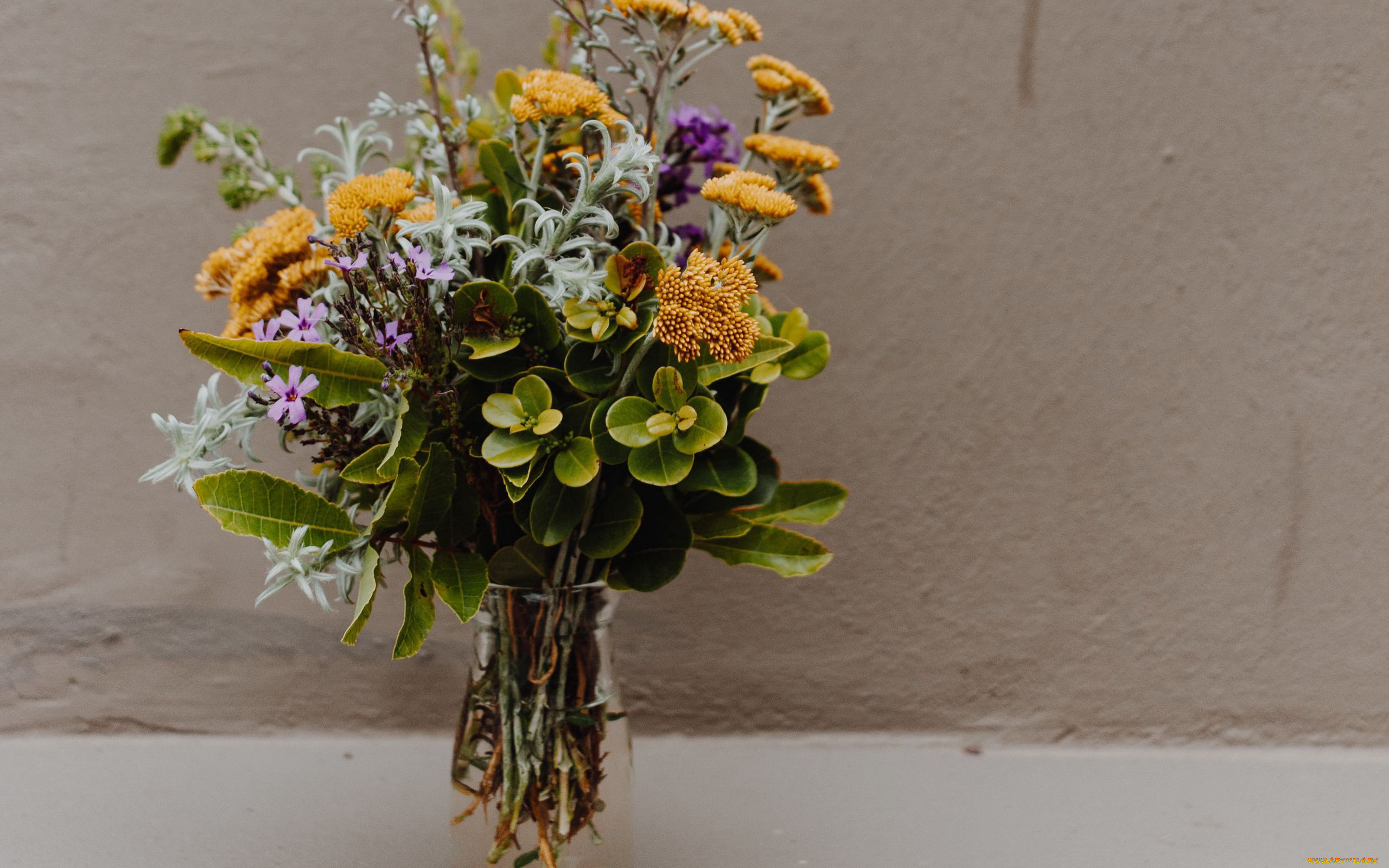 цветы, букеты, , композиции, букет