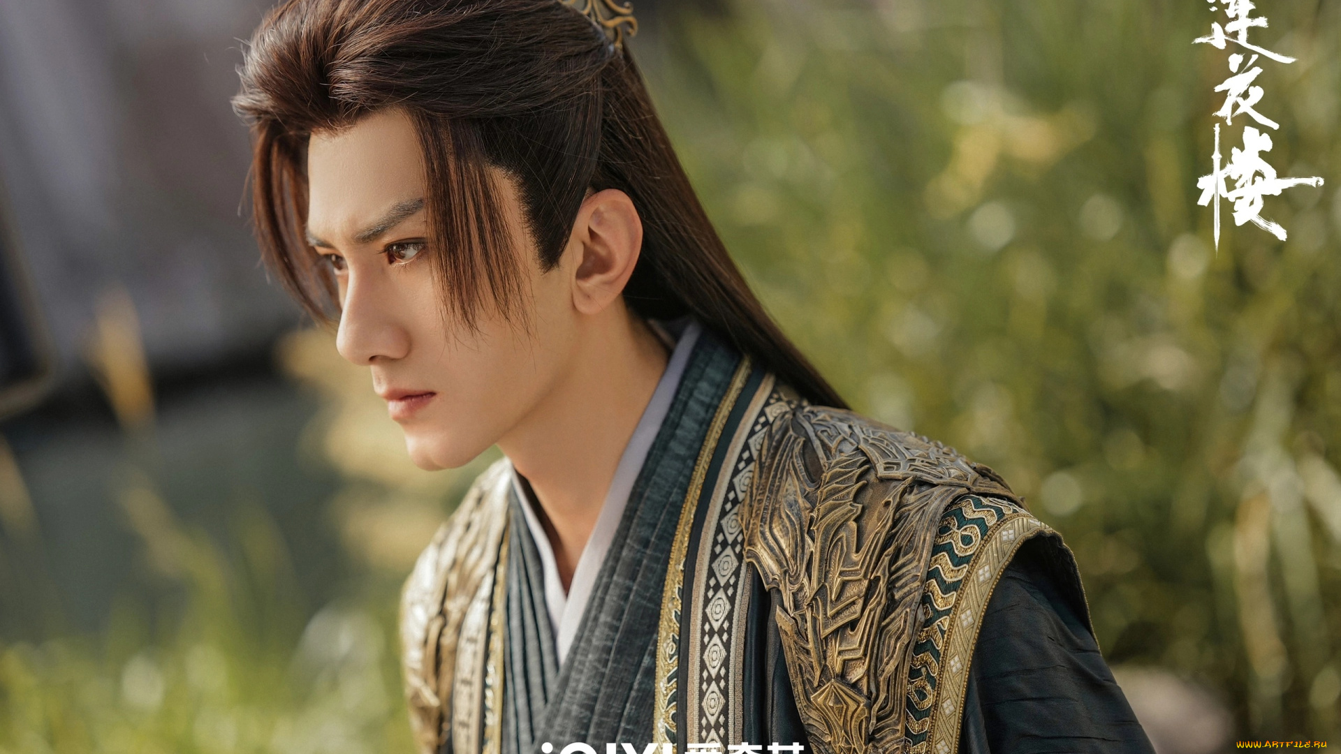 кино, фильмы, mysterious, lotus, casebook, башня, лотоса, с, благоприятными, узорами, лотосовый, терем, дело, mysterious, lotus, casebook, lian, hua, lou