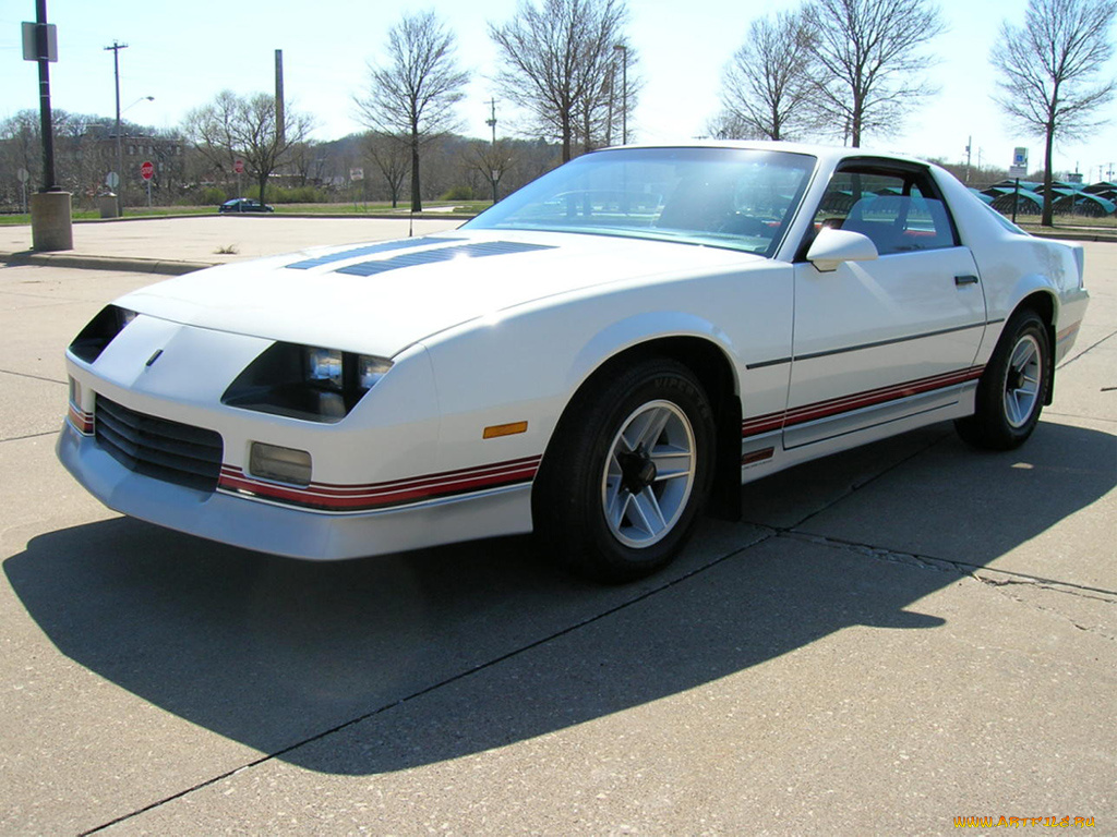 camaro, iroc, z28, автомобили, выставки, уличные, фото