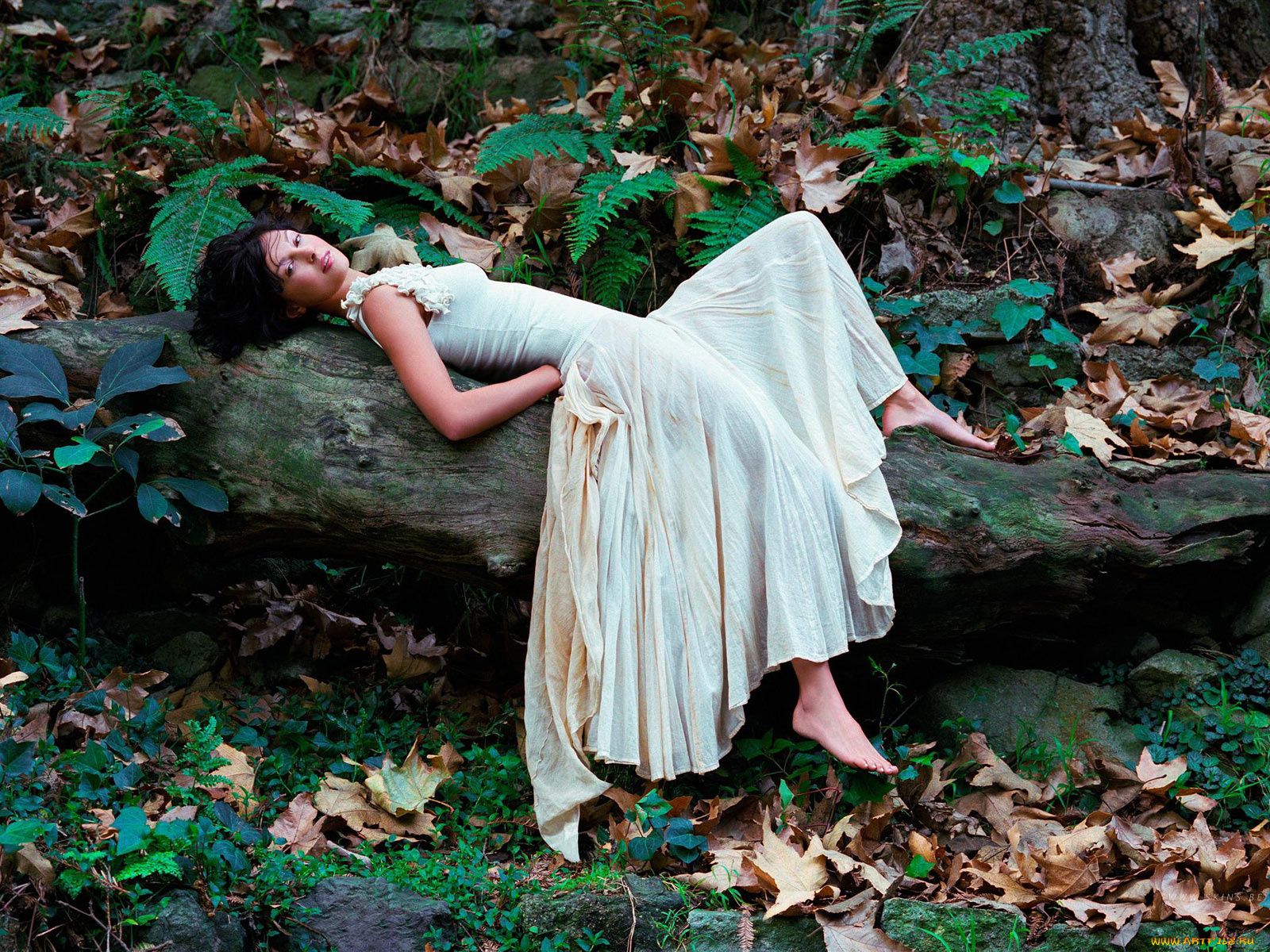 Ashley, Judd, девушки