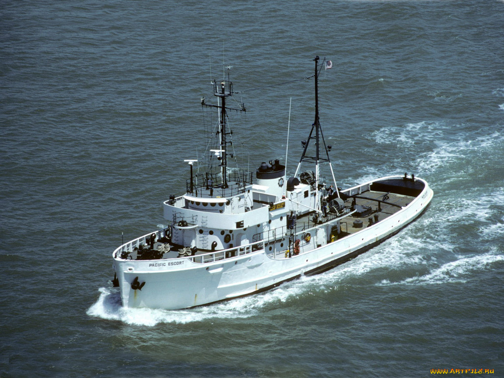 корабли, теплоходы