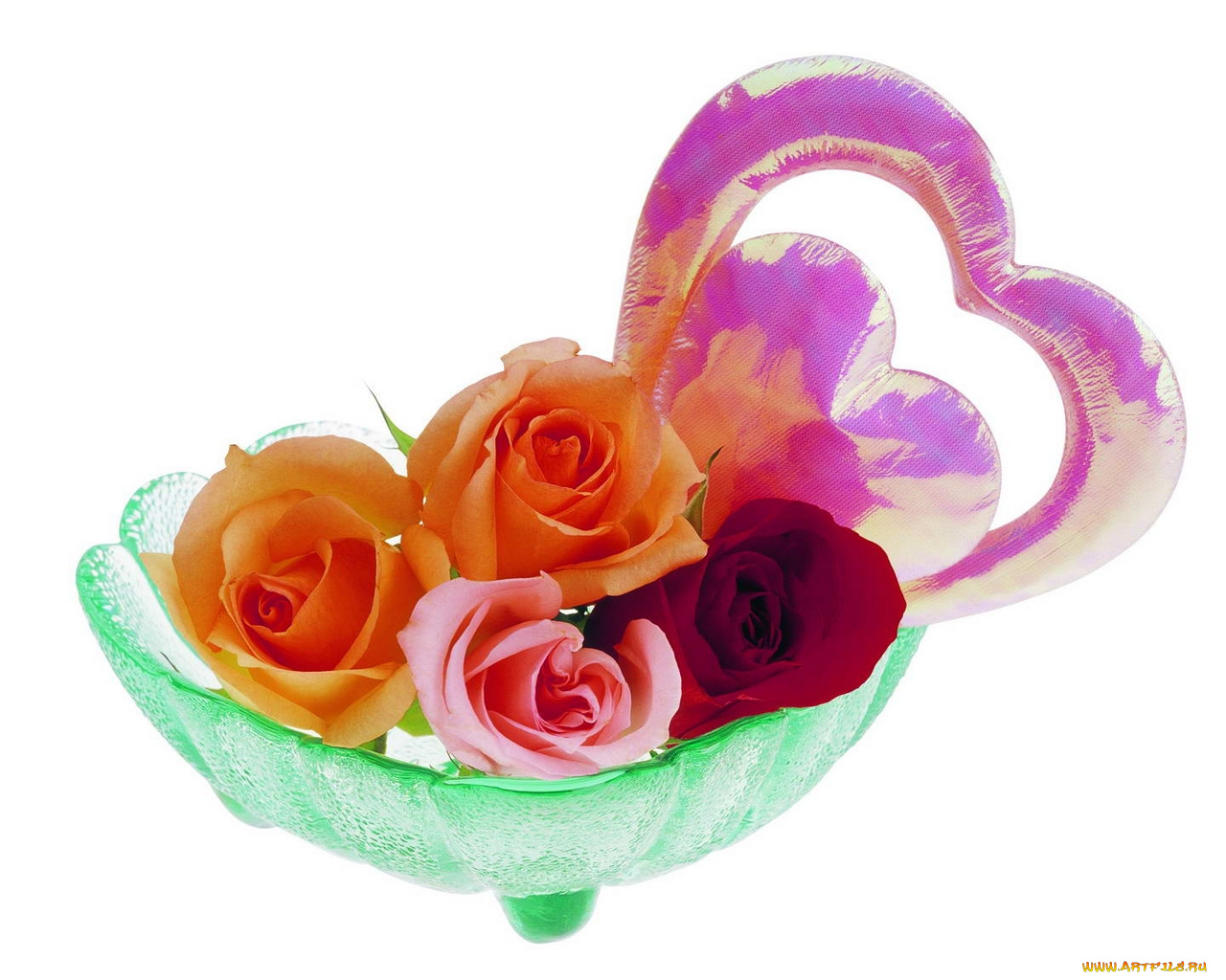 цветы, розы