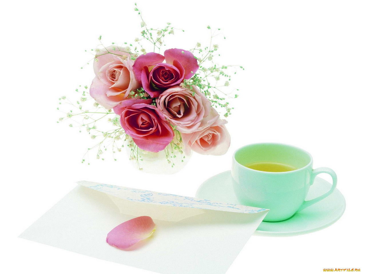 цветы, розы