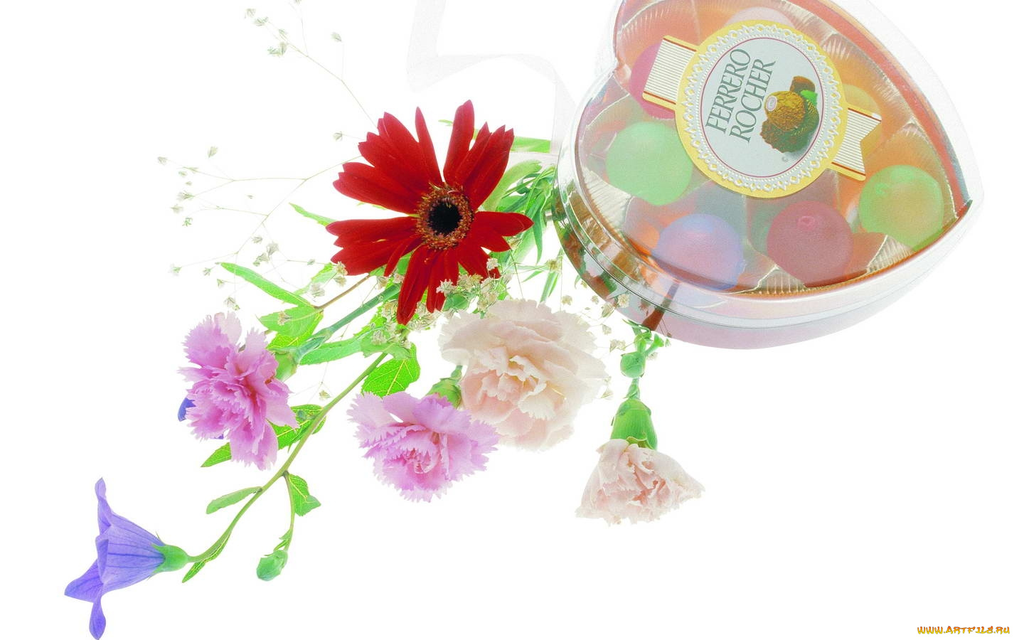 цветы, букеты, композиции