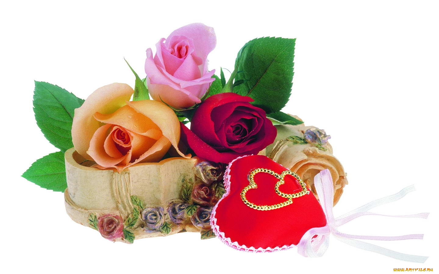 цветы, розы