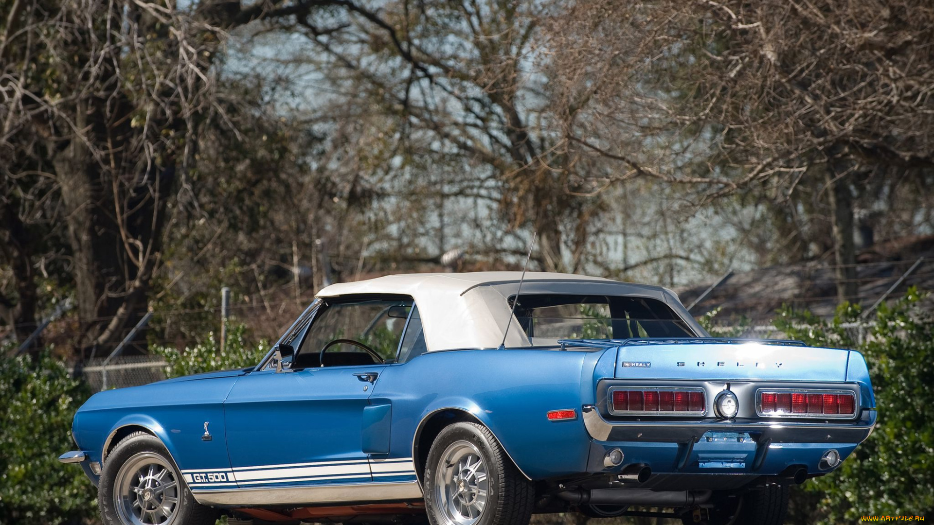 автомобили, ac, cobra, shelby