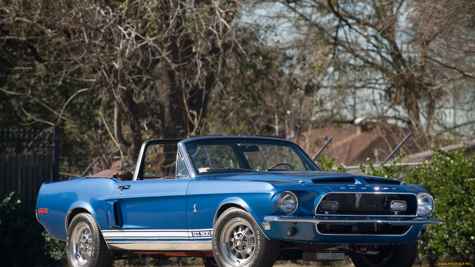 автомобили, ac, cobra, shelby