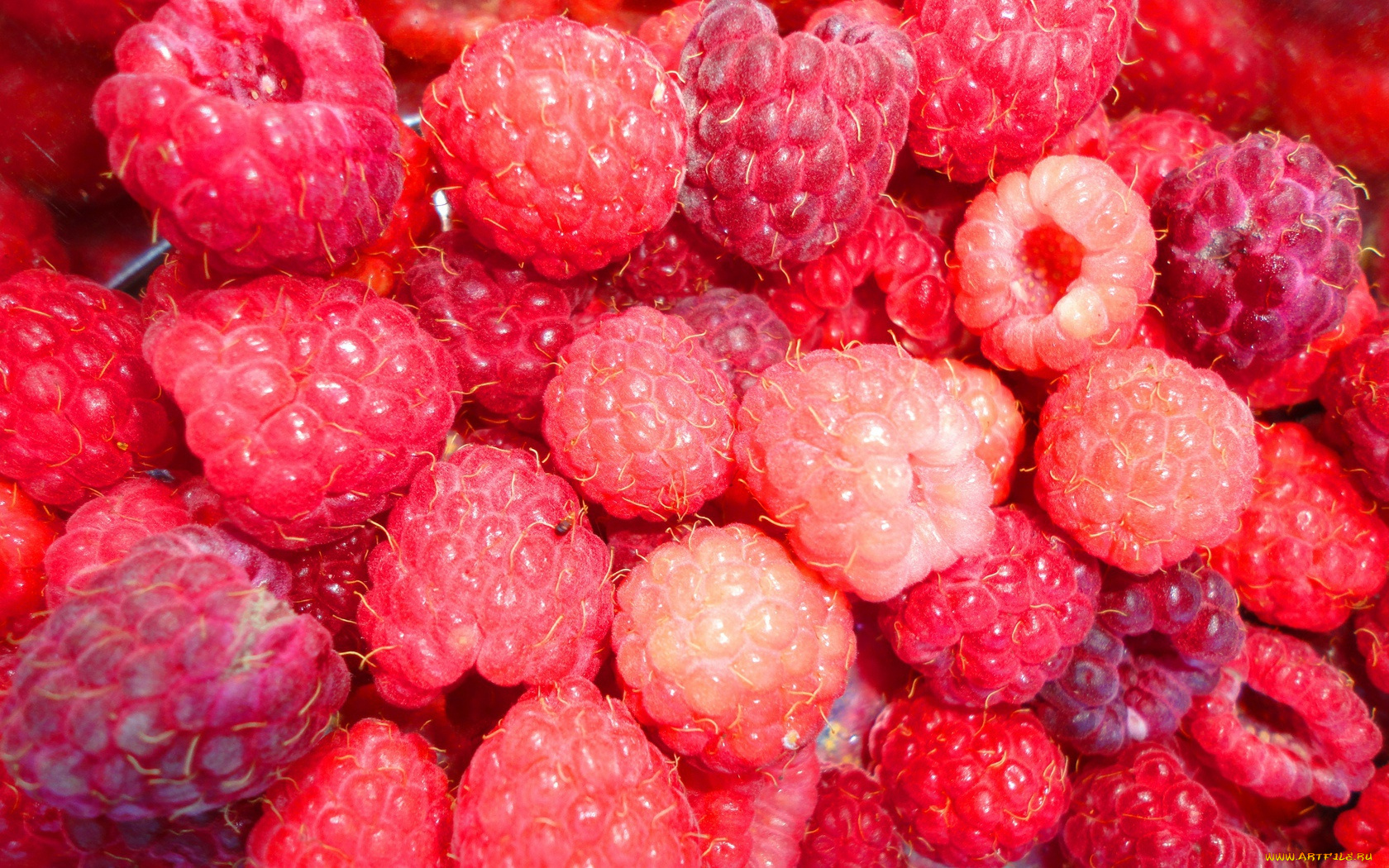 еда, малина, ягоды, лето