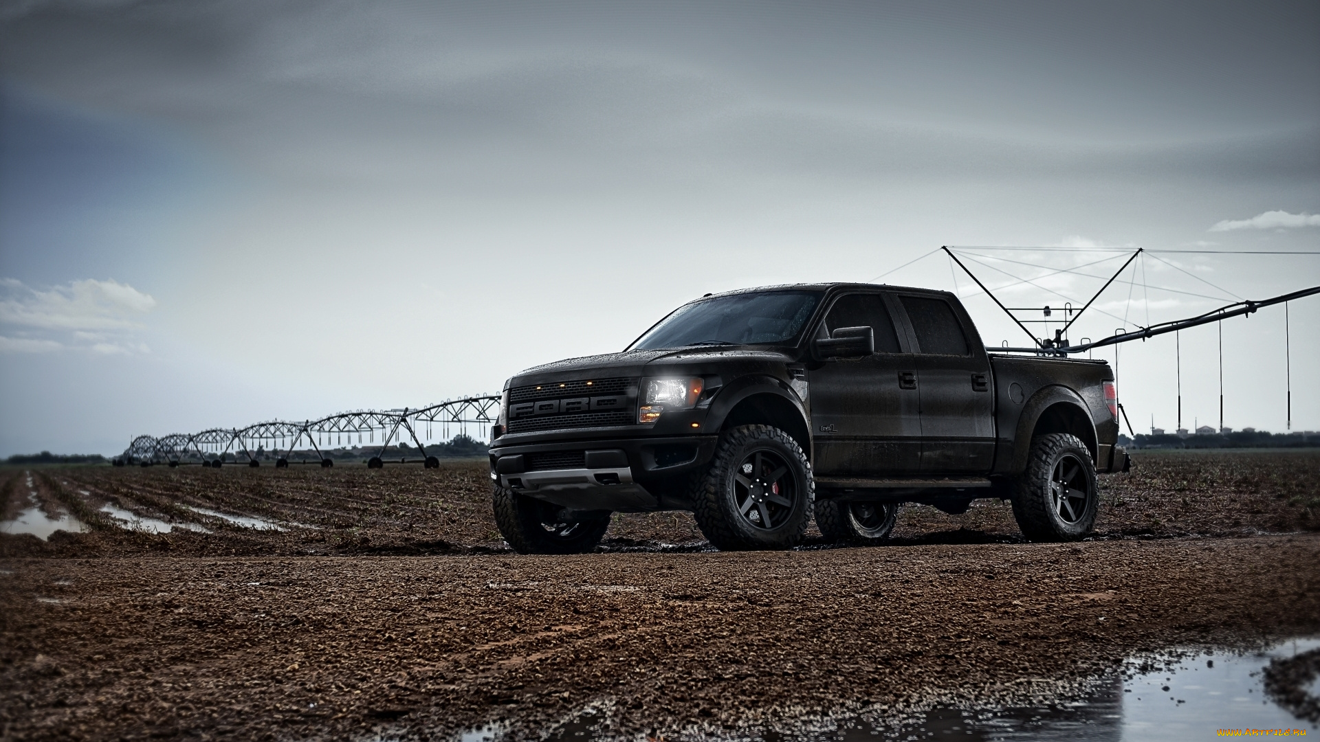 автомобили, ford, авто