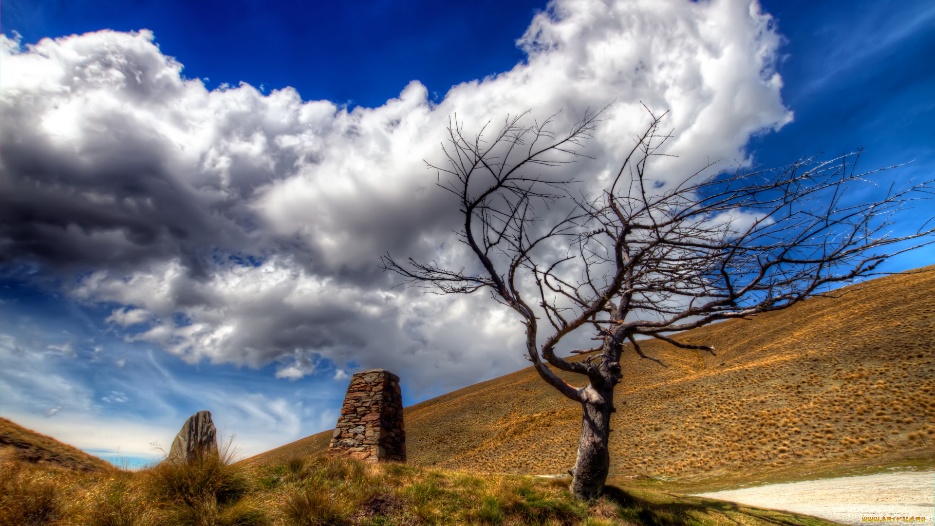 природа, деревья, небо, дорога, сухостой