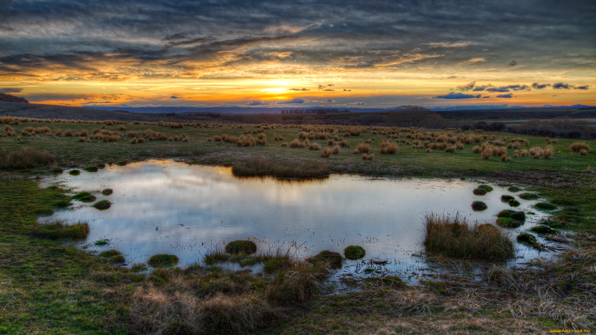 природа, восходы, закаты, вода, трава, солнце, растительность