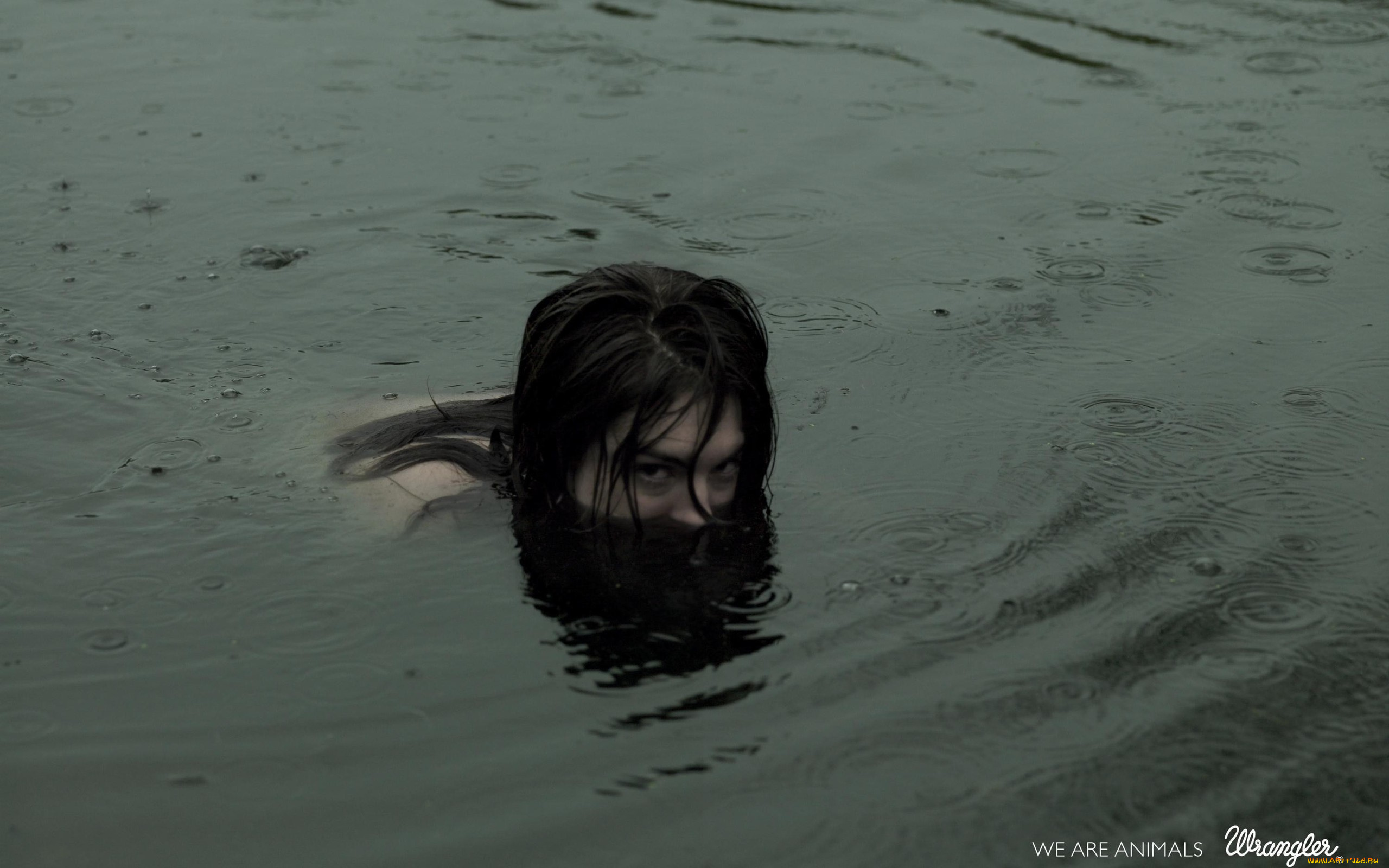 плюю, на, ваши, могилы, кино, фильмы, spit, on, your, grave, фильм