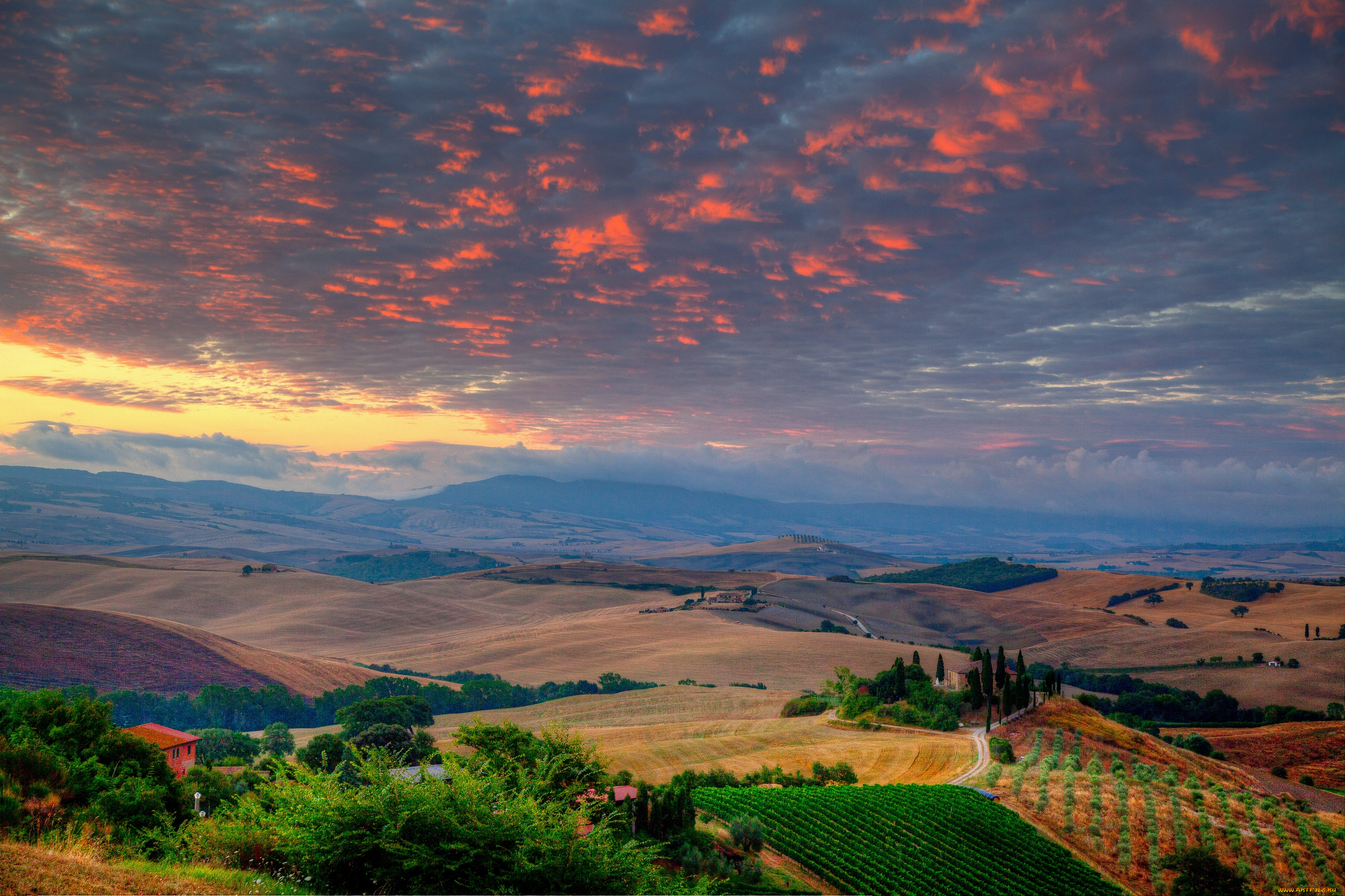 природа, поля, вид, сверху, пейзаж