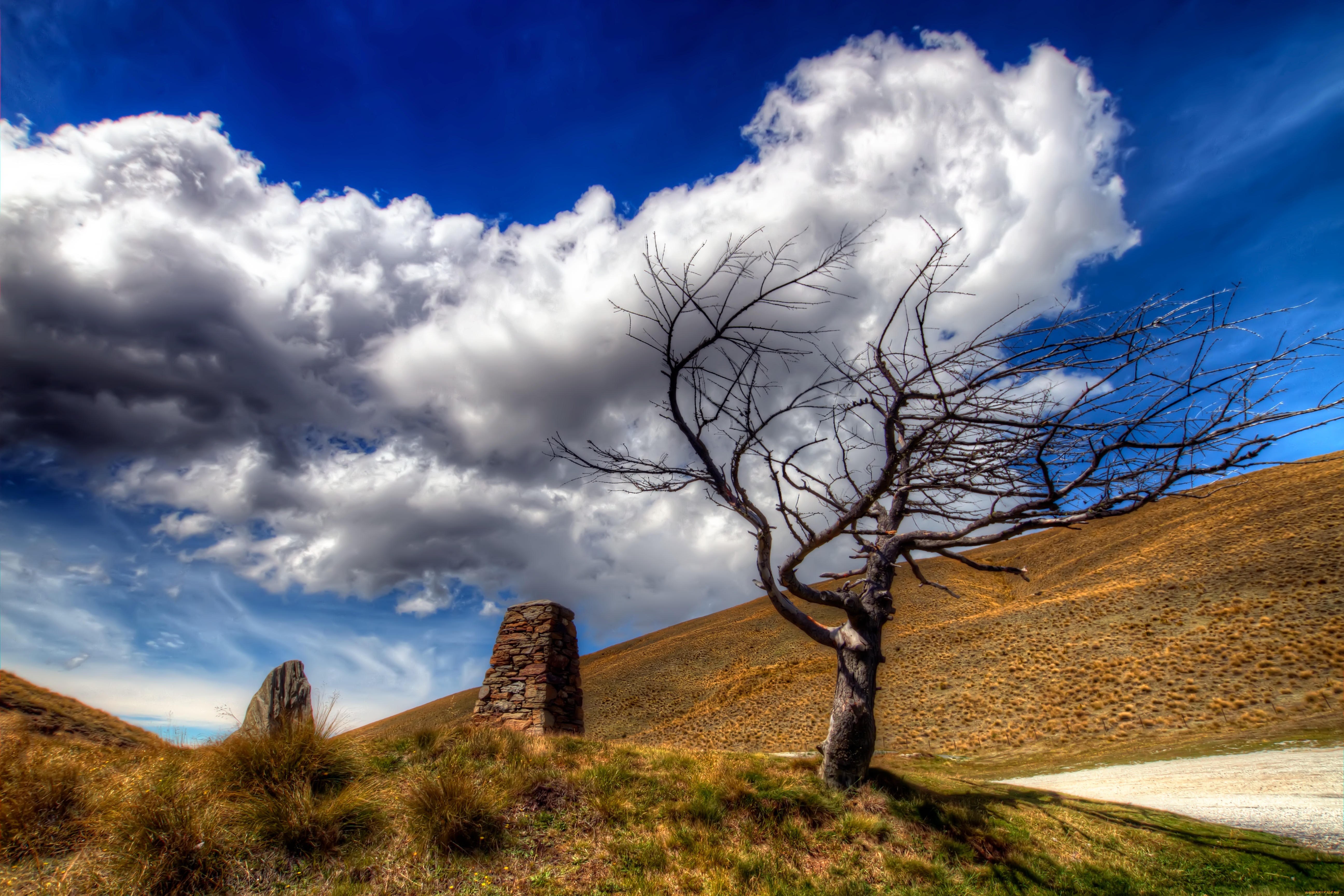 природа, деревья, небо, дорога, сухостой