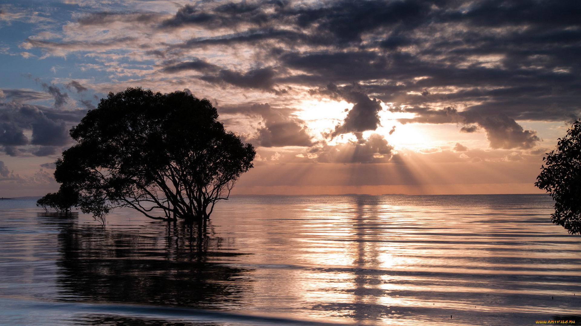 3д, графика, nature, landscape, природа, тучи, сумрак, дерево, горизонт, озеро