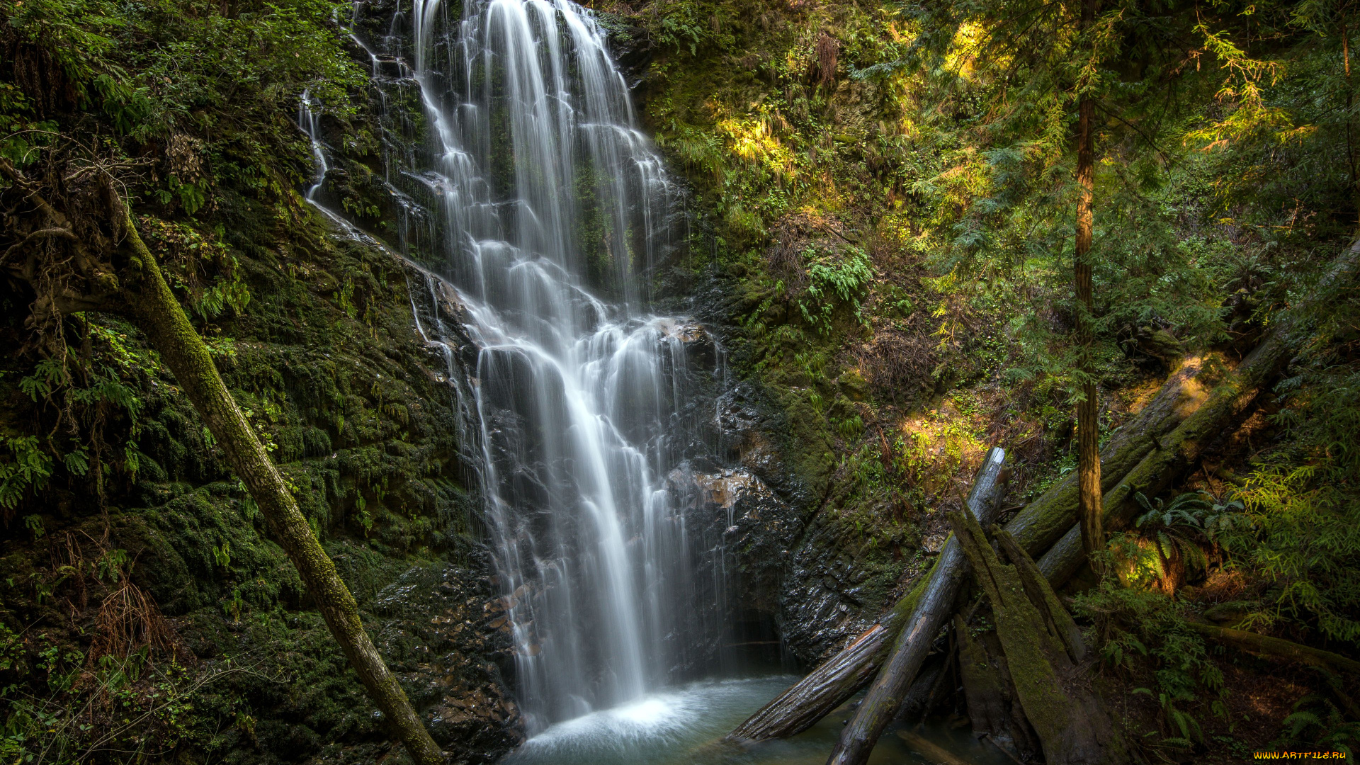 berry, creek, falls, california, природа, водопады, брёвна