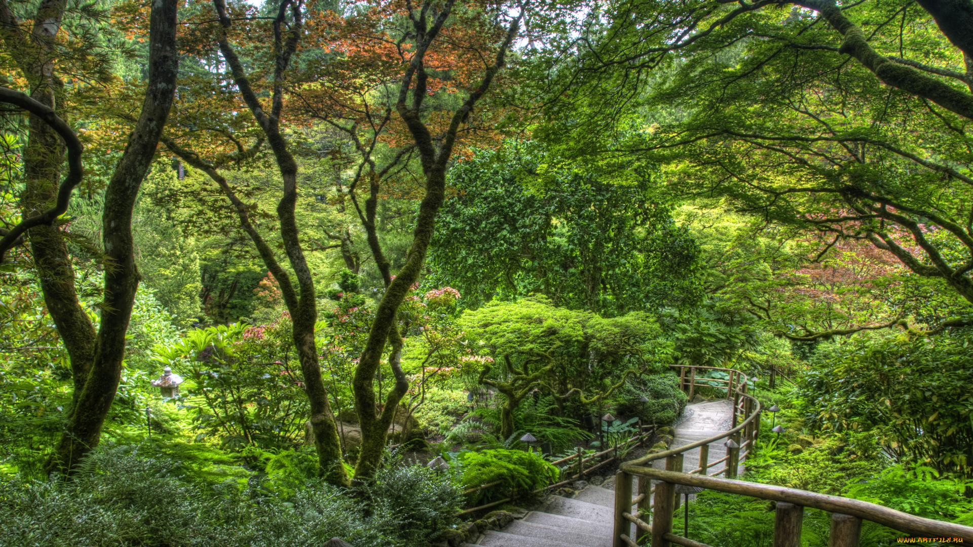 butchart, gardens, victoria, canada, природа, парк, сад, растения
