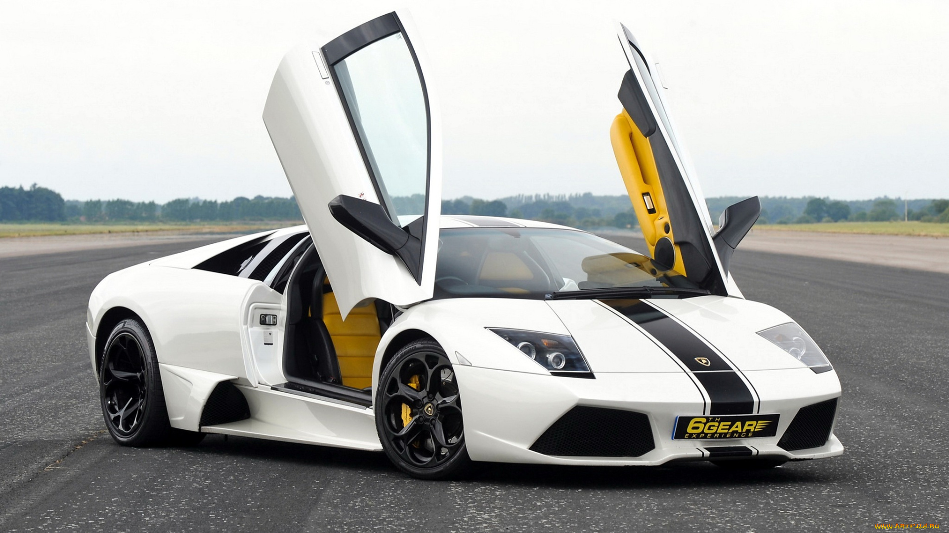 lamborghini, murcielago, автомобили, италия, спортивный, люкс