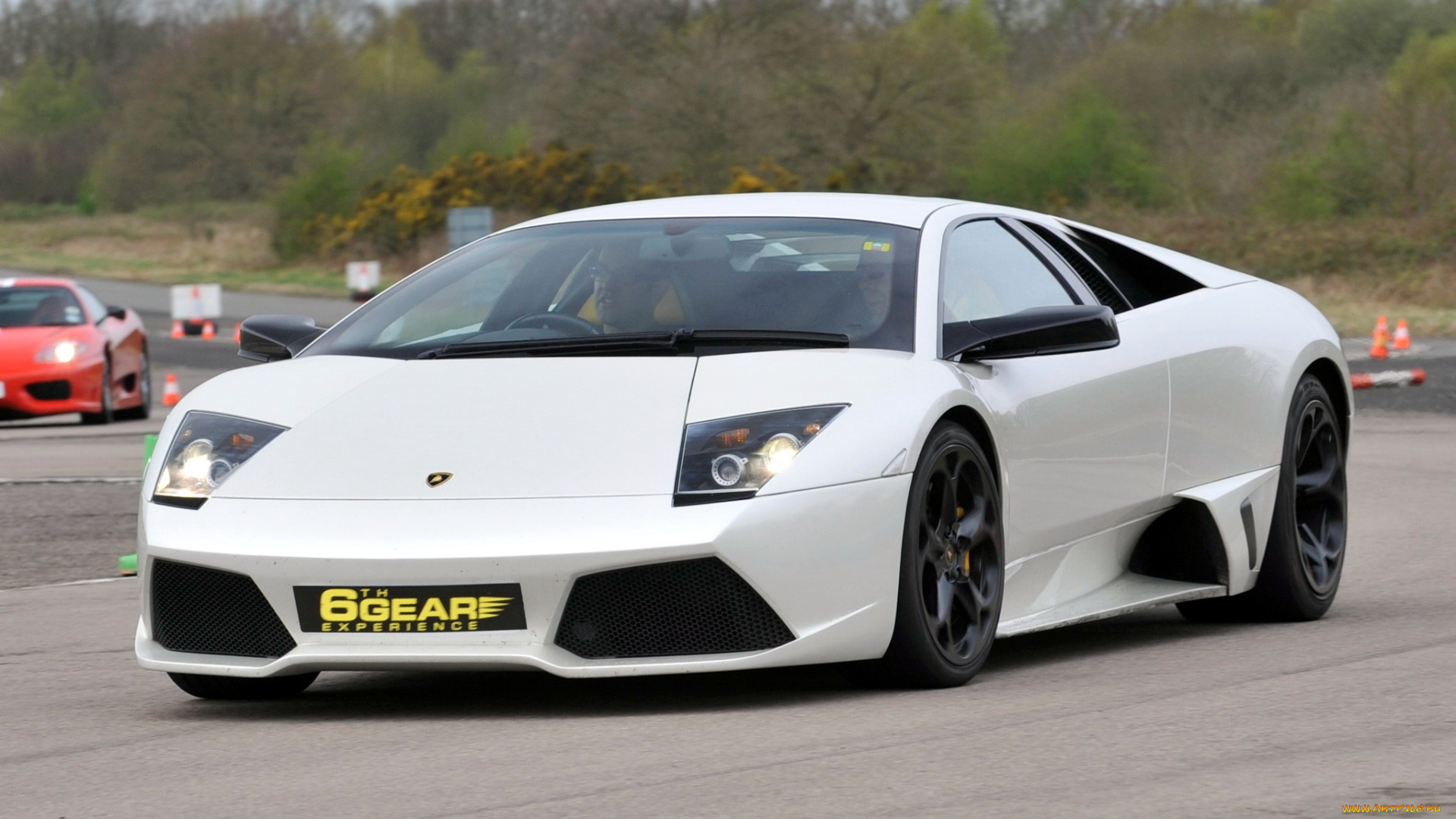 lamborghini, murcielago, автомобили, люкс, спортивный, италия