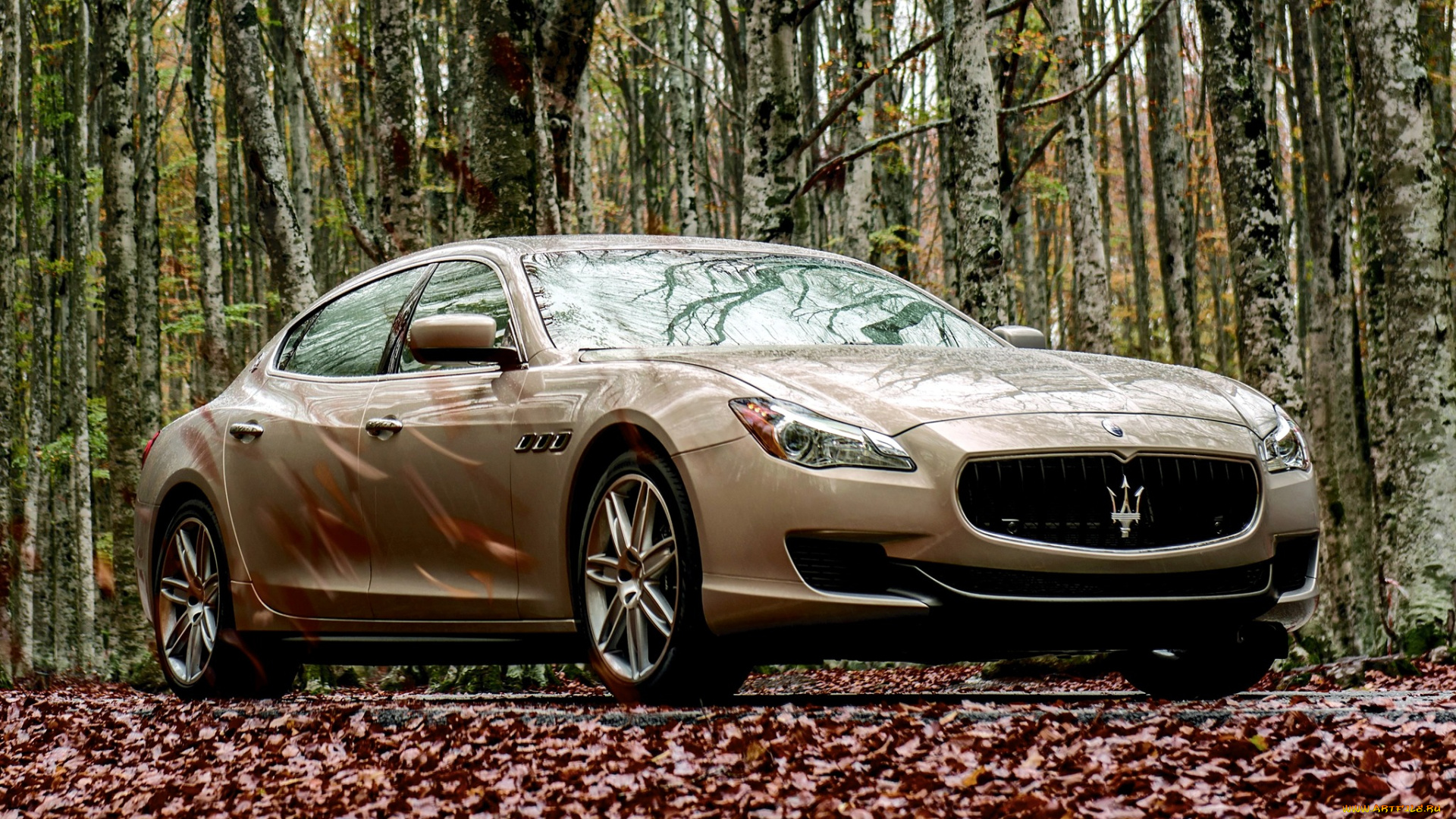 maserati, quattroporte, автомобили, эксклюзив, спортивный, италия